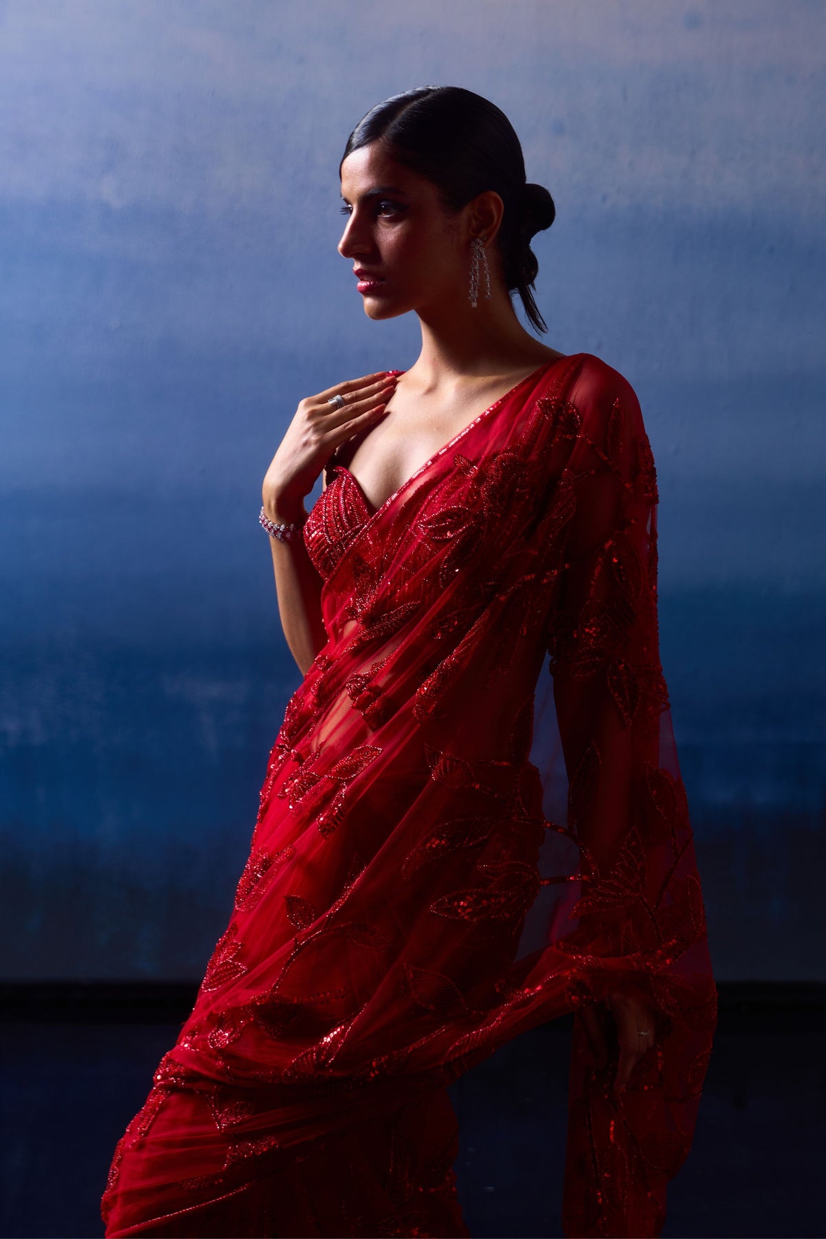 Ruby Red Net Saree Set