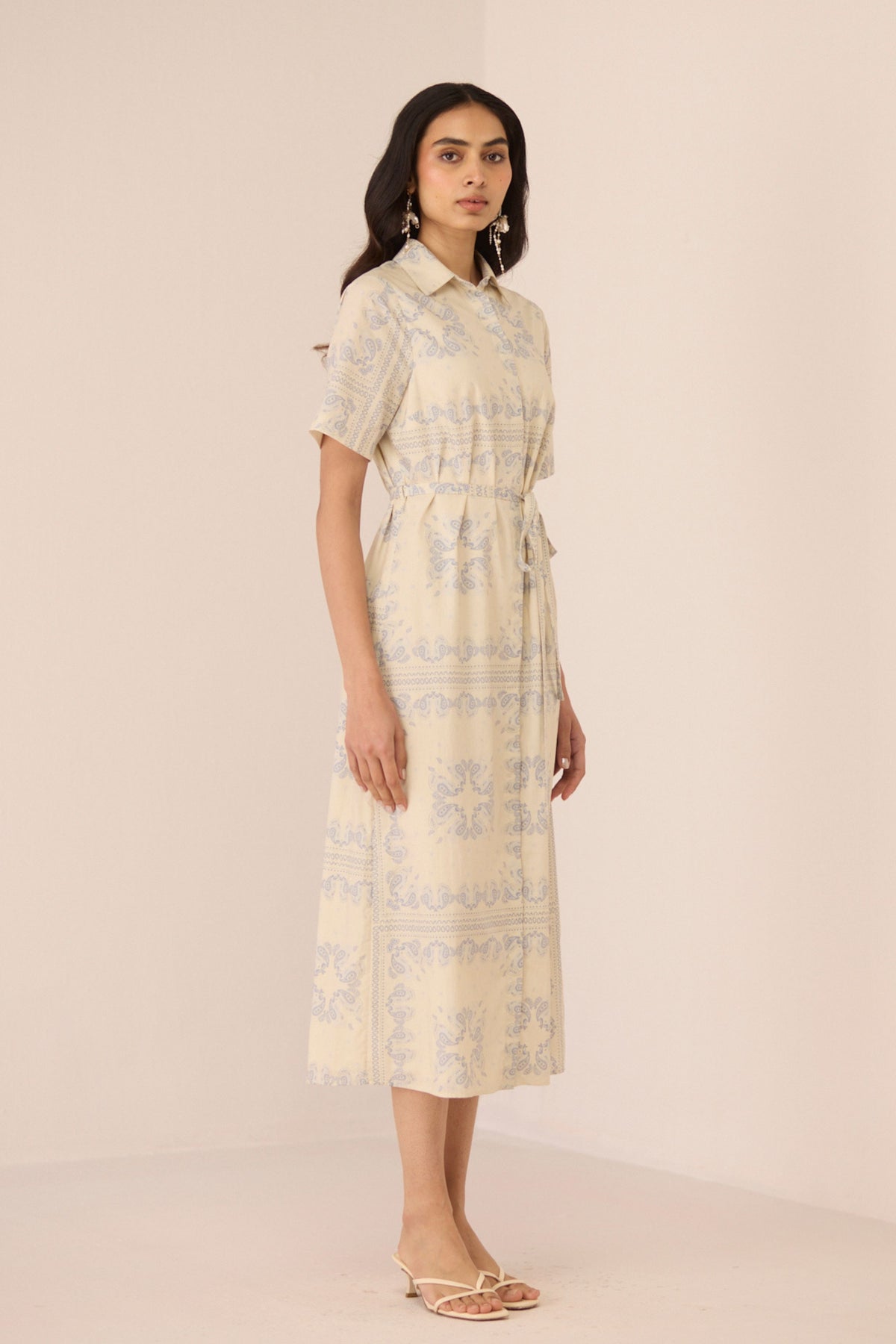 Aster Shirt Dress