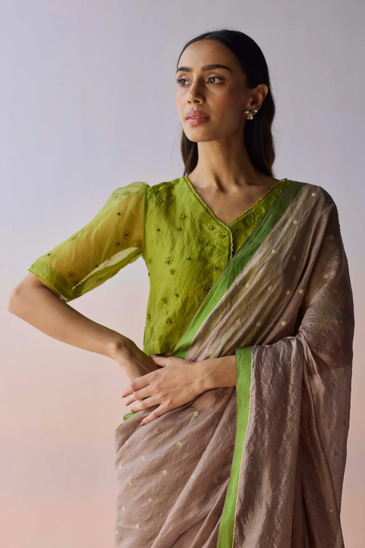 Taupe Wildflower Gleam Saree