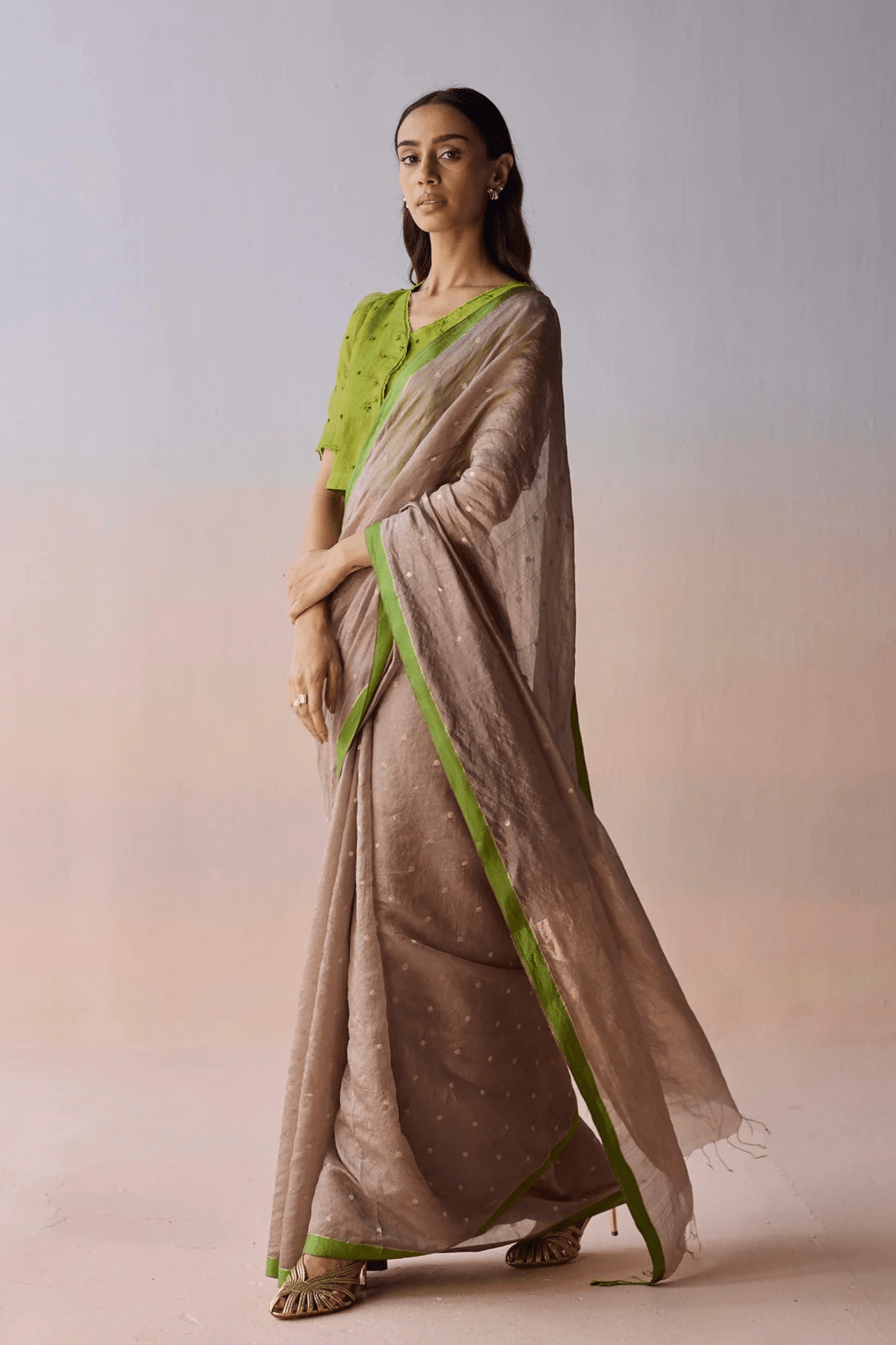 Taupe Wildflower Gleam Saree - Surmaye - Elahe