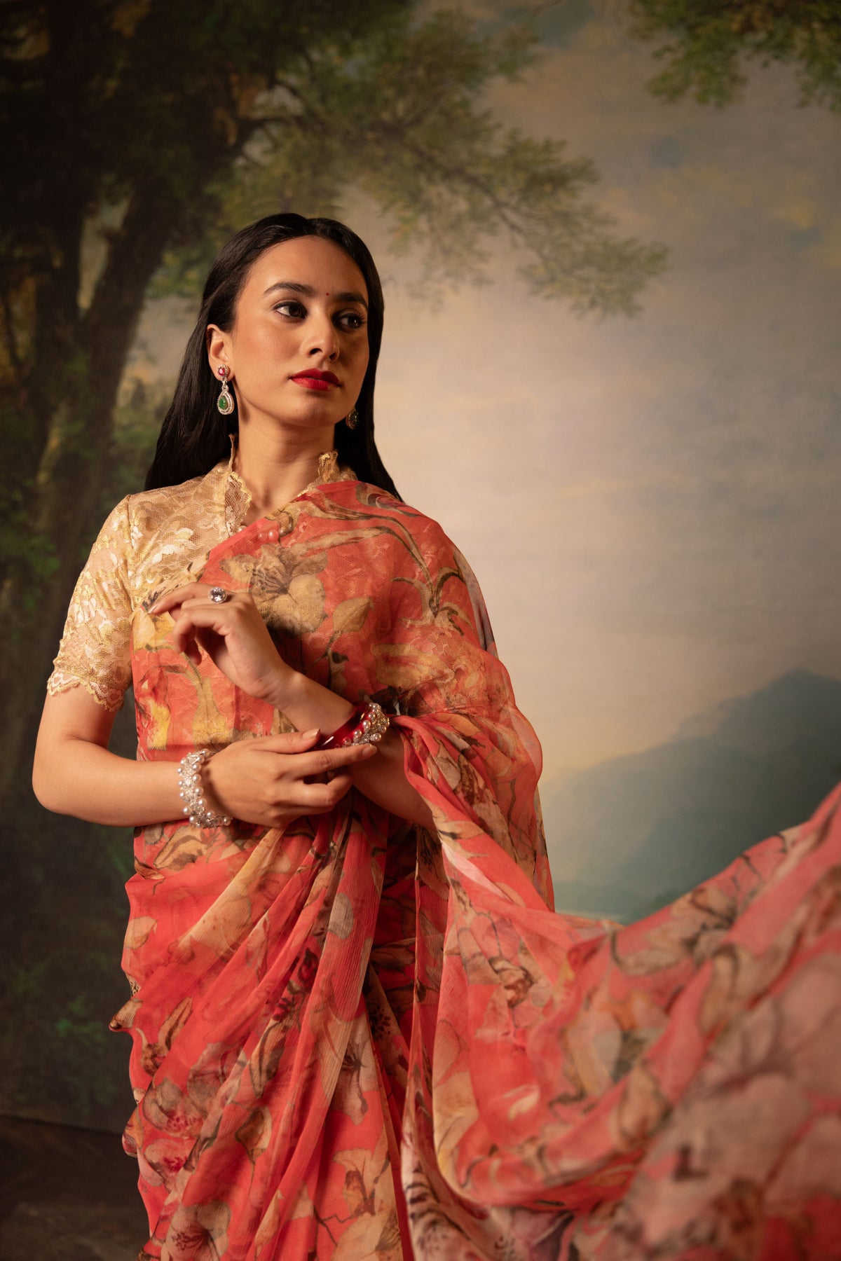 Padma Printed French Chiffon Saree