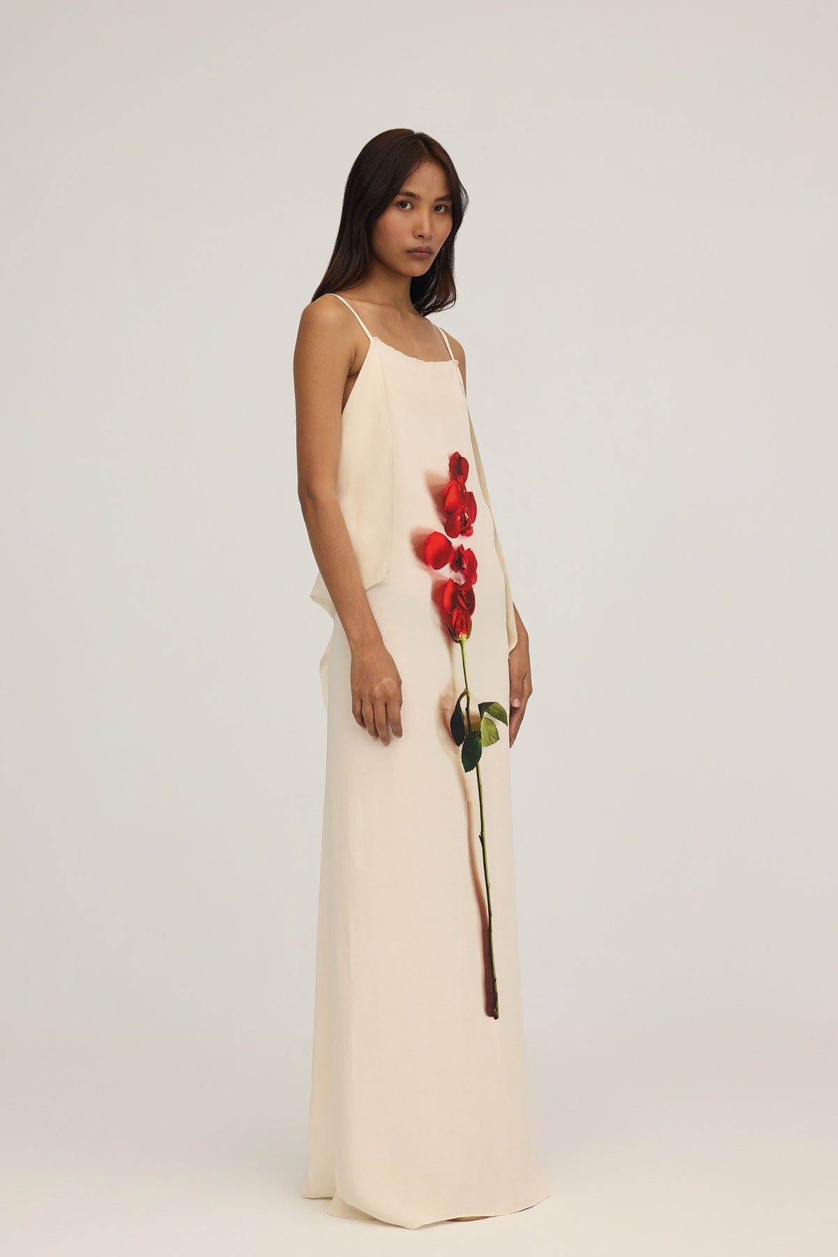 Anouk Dress