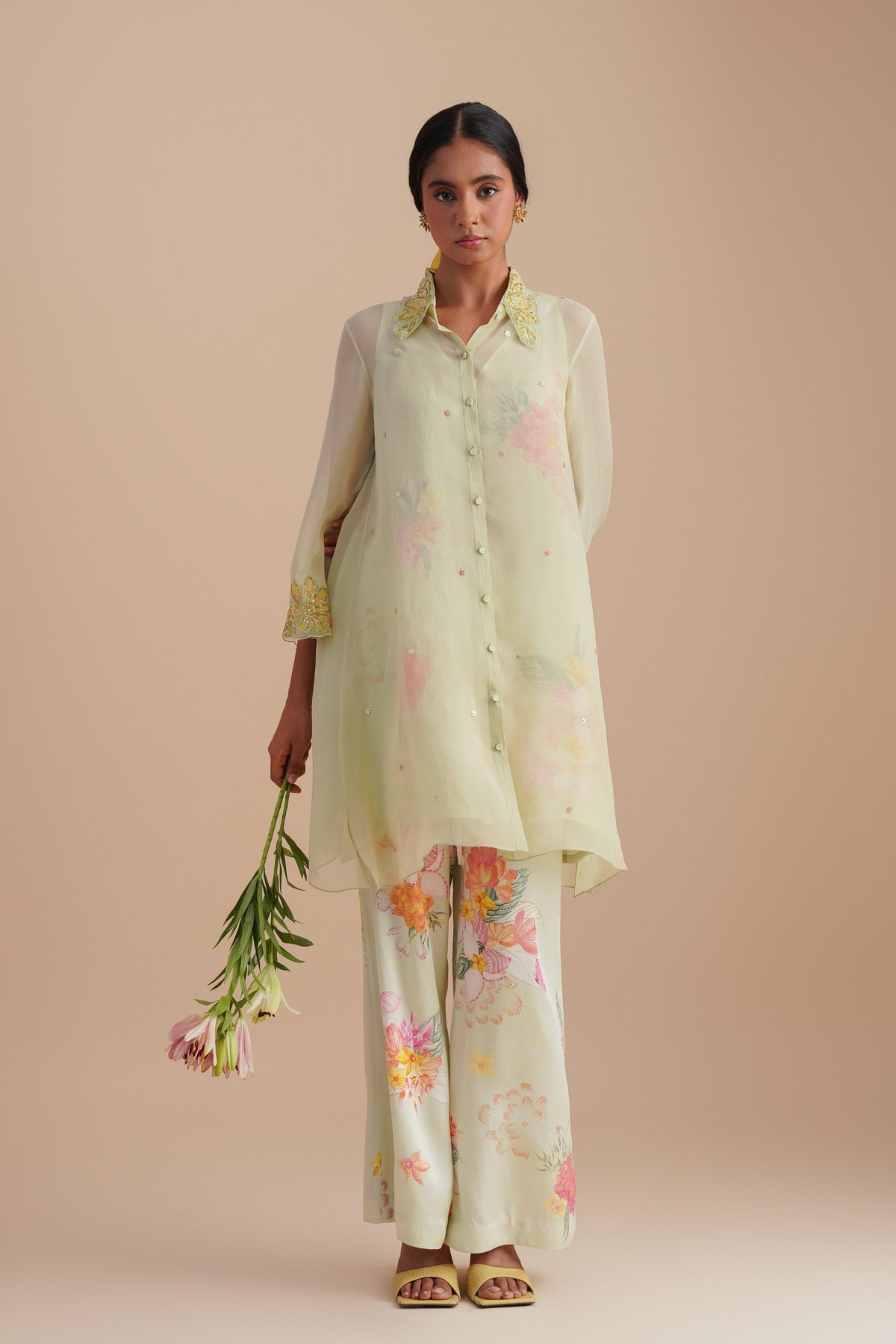 Mist Organza Co-ord Set