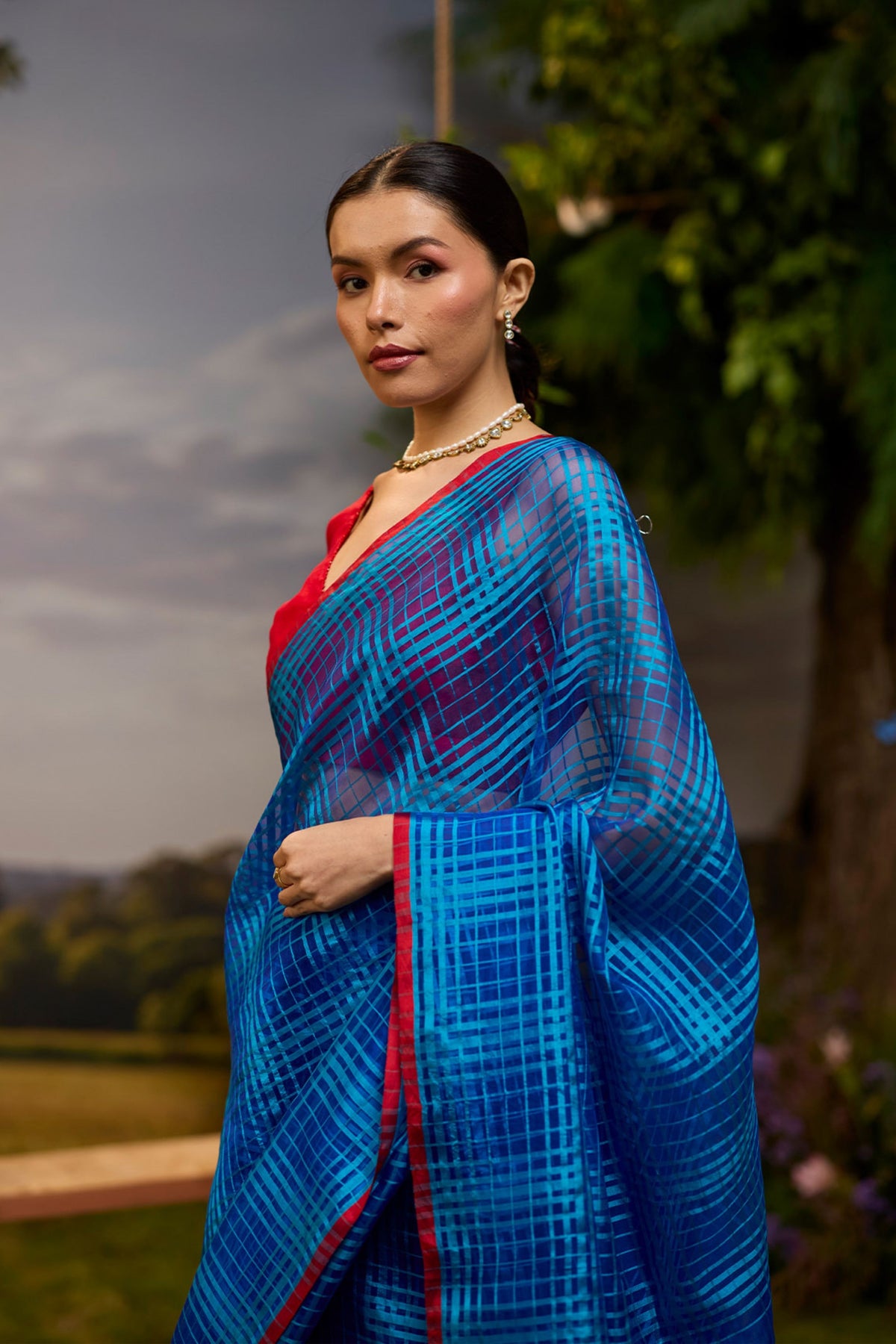 A Walkin Blue Checkered Saree