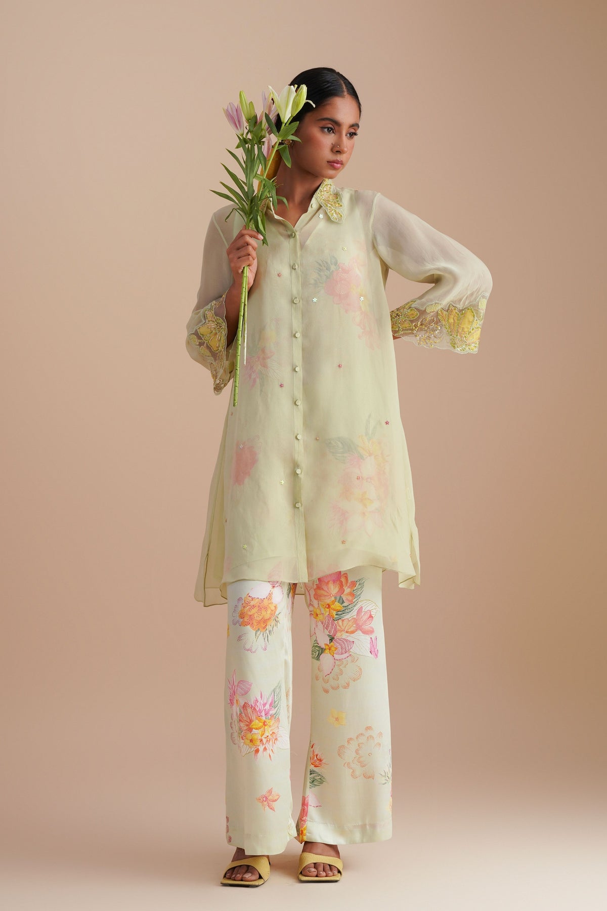 Mist Organza Co-ord Set