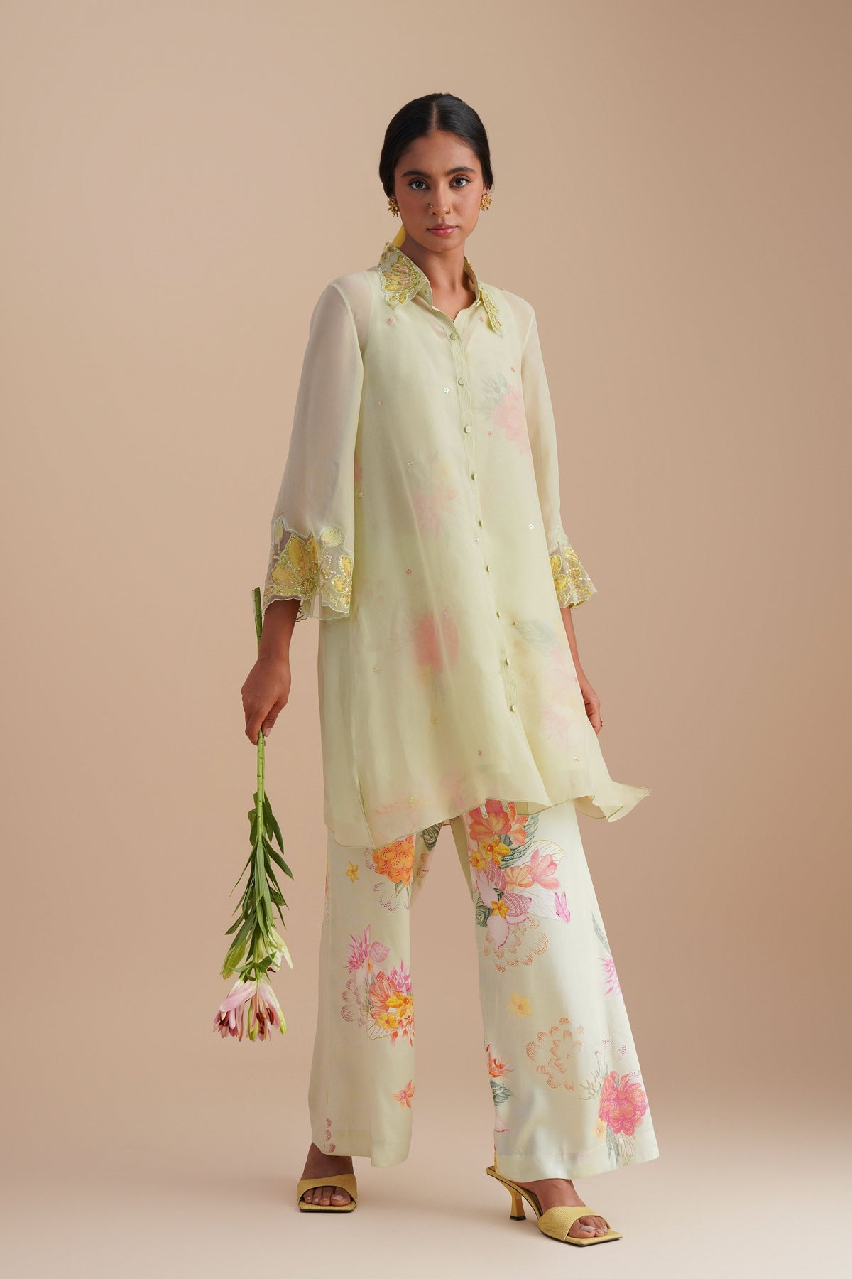Mist Organza Co-ord Set