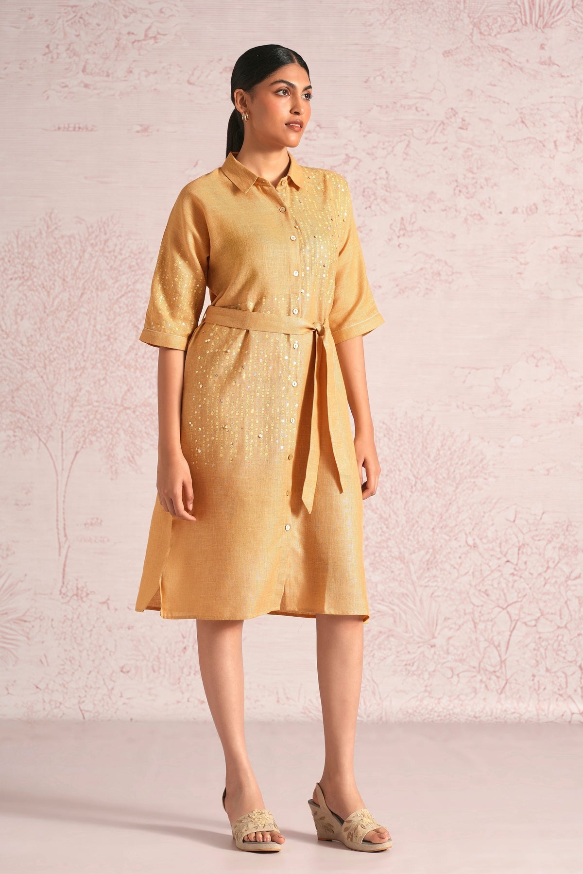 Shimmer Cashew Dress