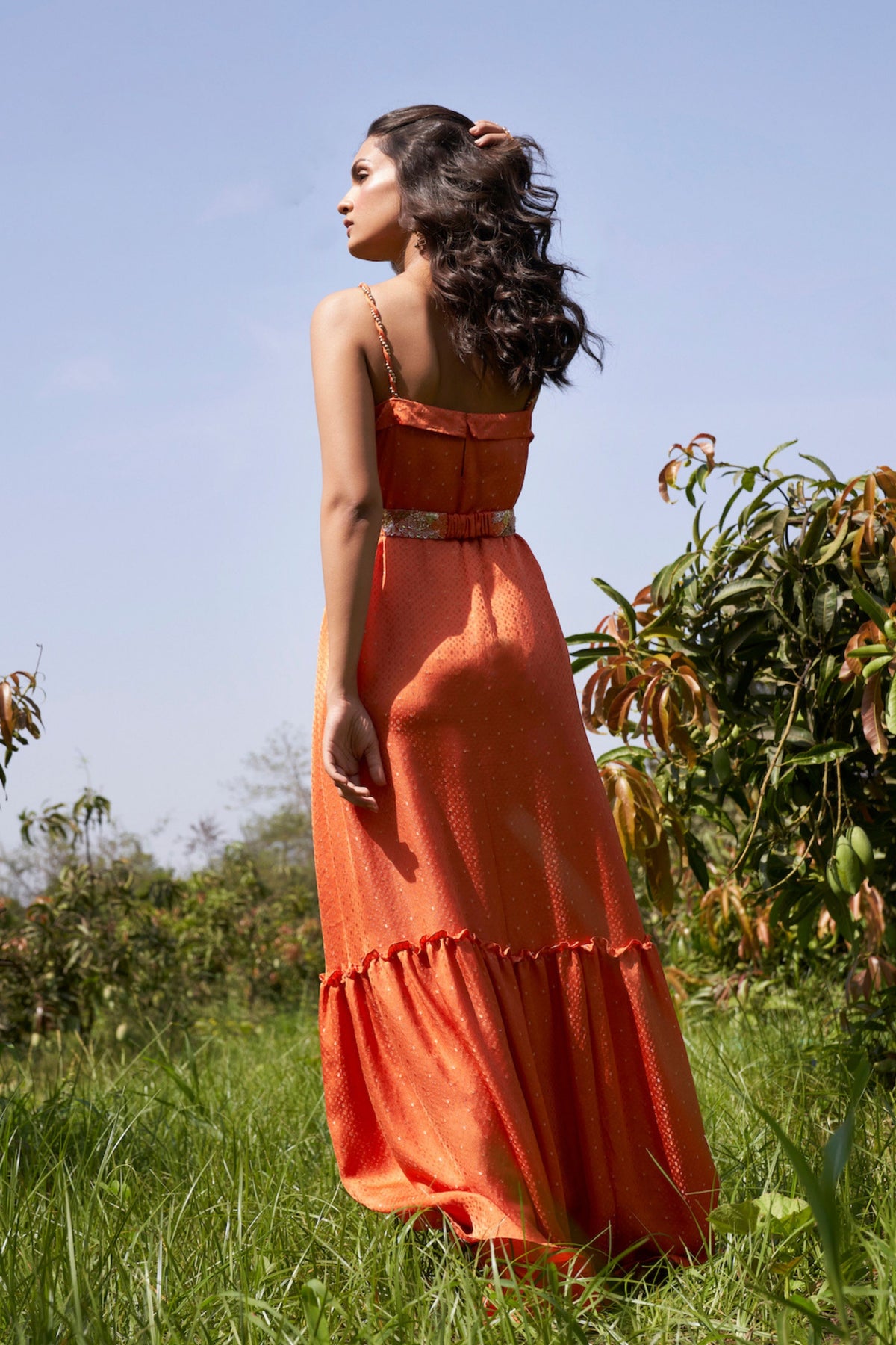Painted Lady Gown