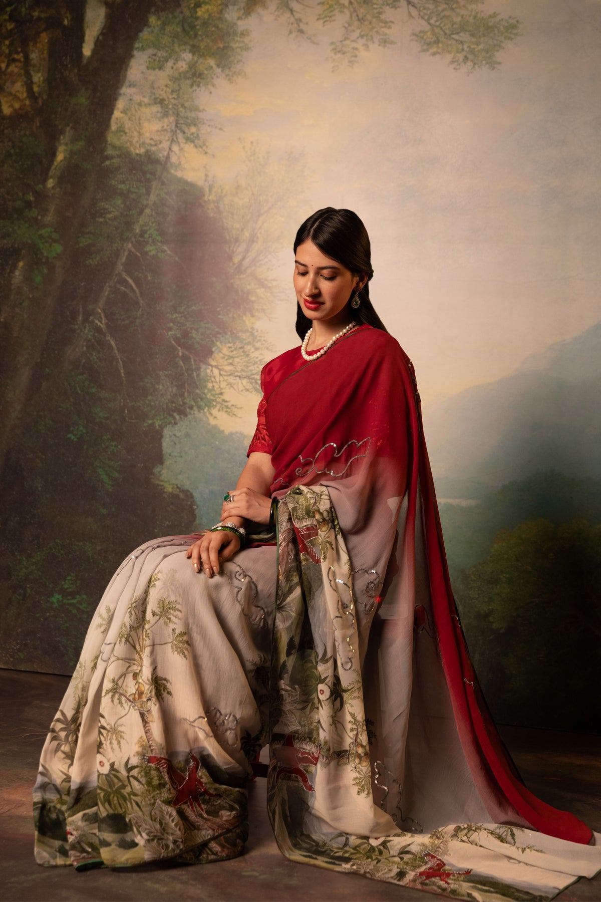 Amelie Printed French Chiffon Saree
