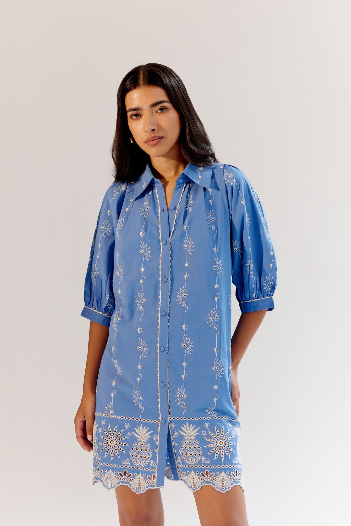 Blue Rosa Mini Dress