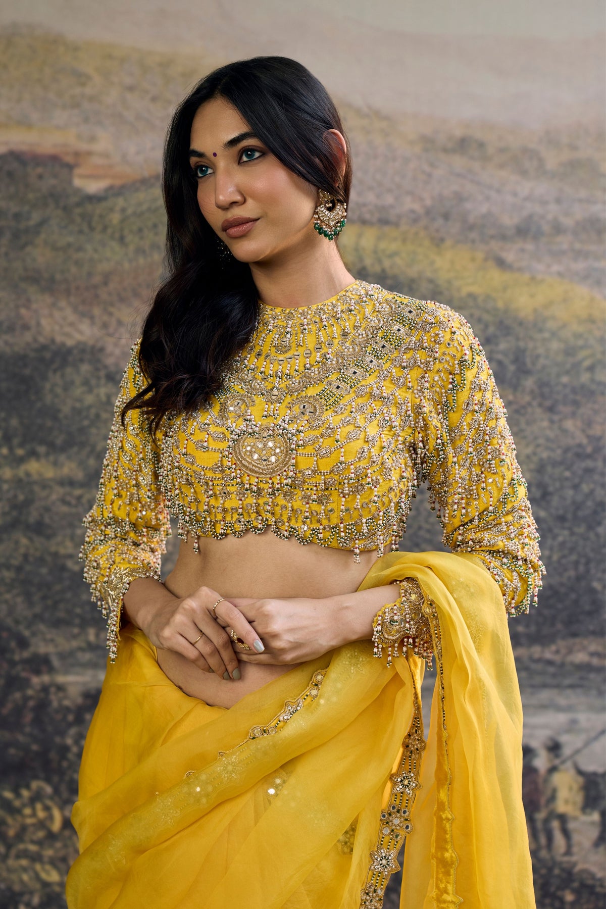 Peela Tara Organza Saree Set