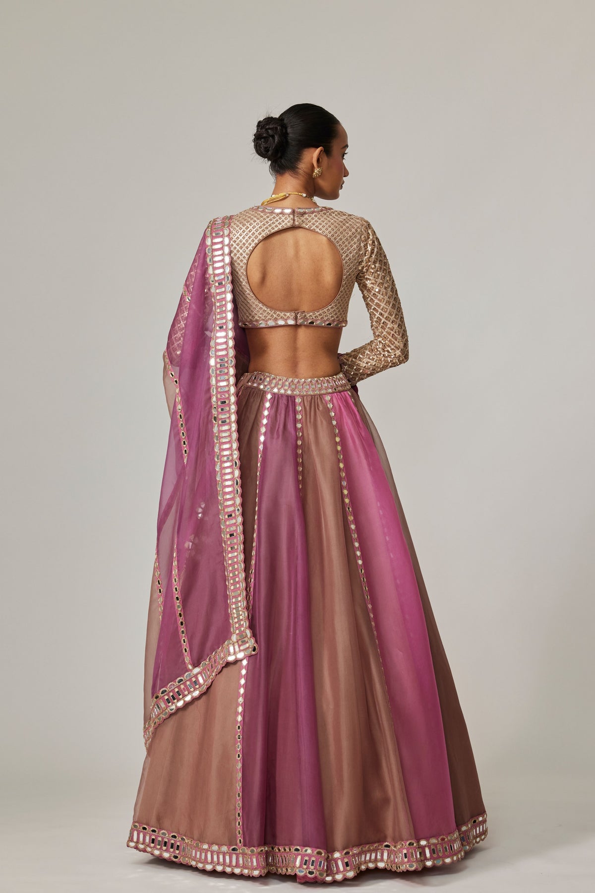 Mud Multicolor Lehenga Set