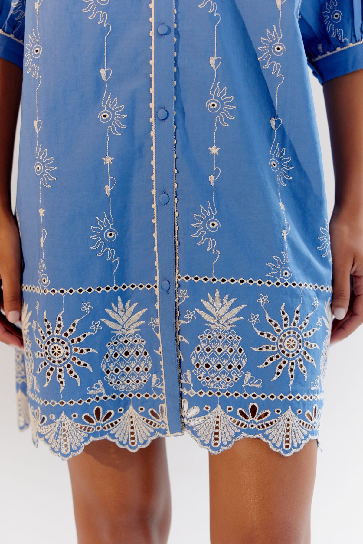 Blue Rosa Mini Dress