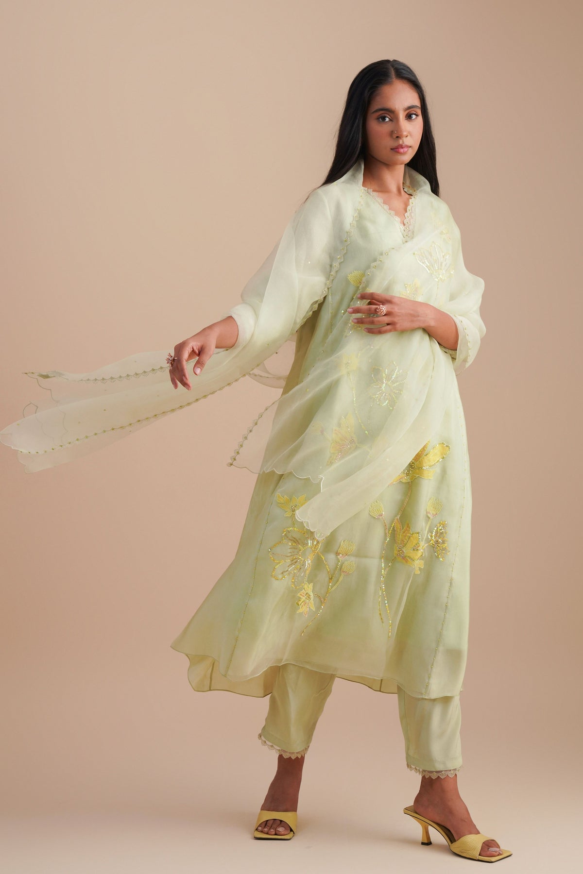 Mist  Organza Silk Dupatta