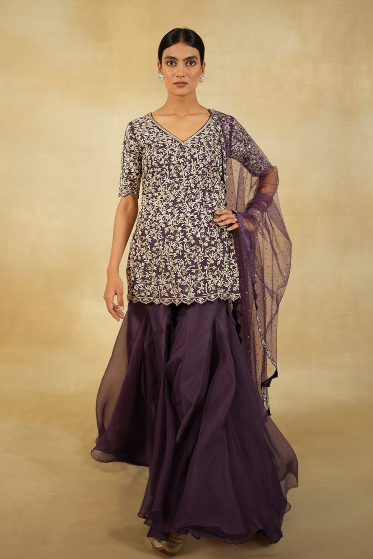 Jamuni Luna Sharara Set