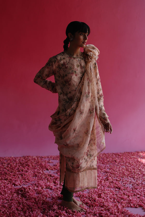 Aacho Taisha - Aacho Pink Kurta Set - Elahe