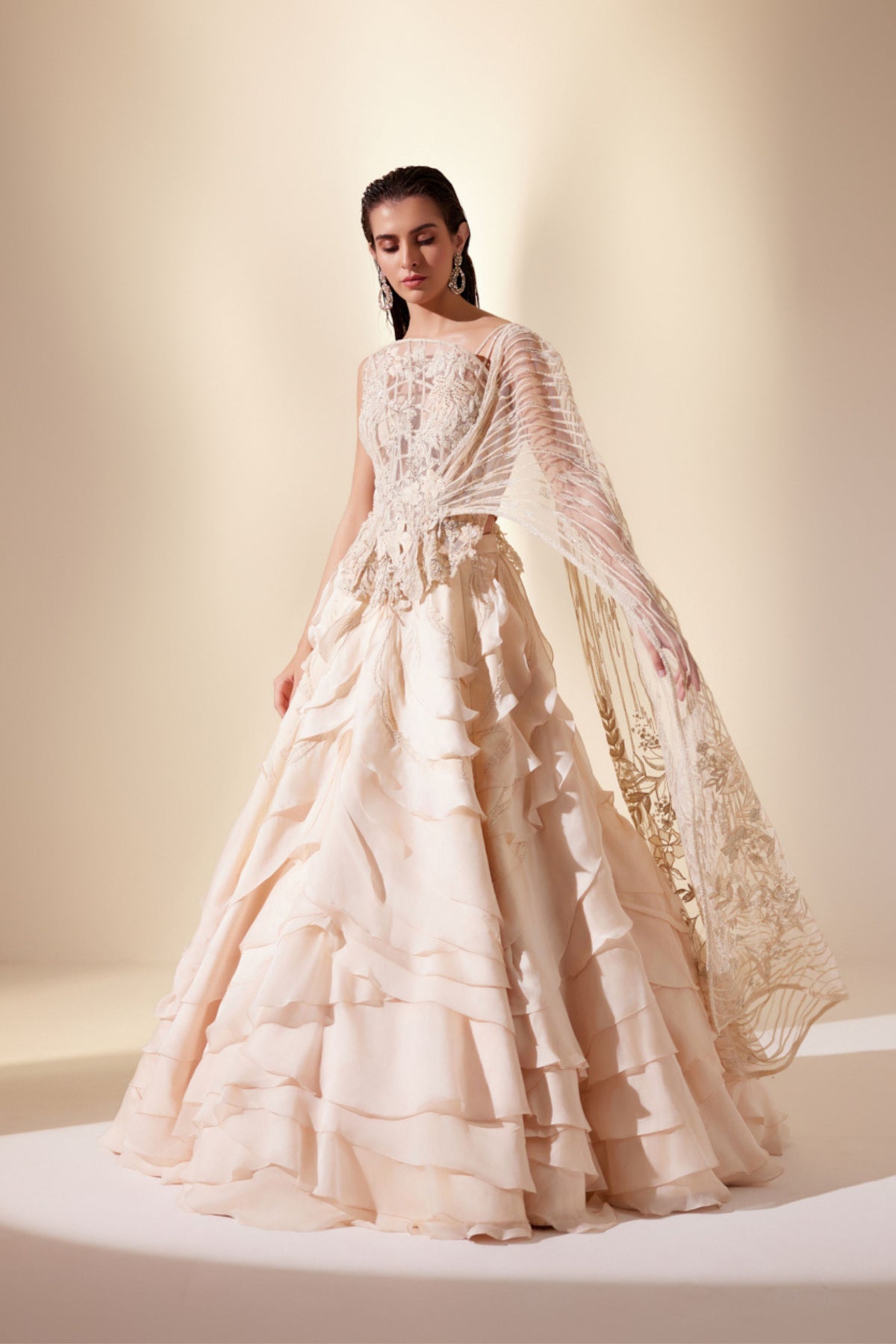 Lunar Gleam Lehenga Set
