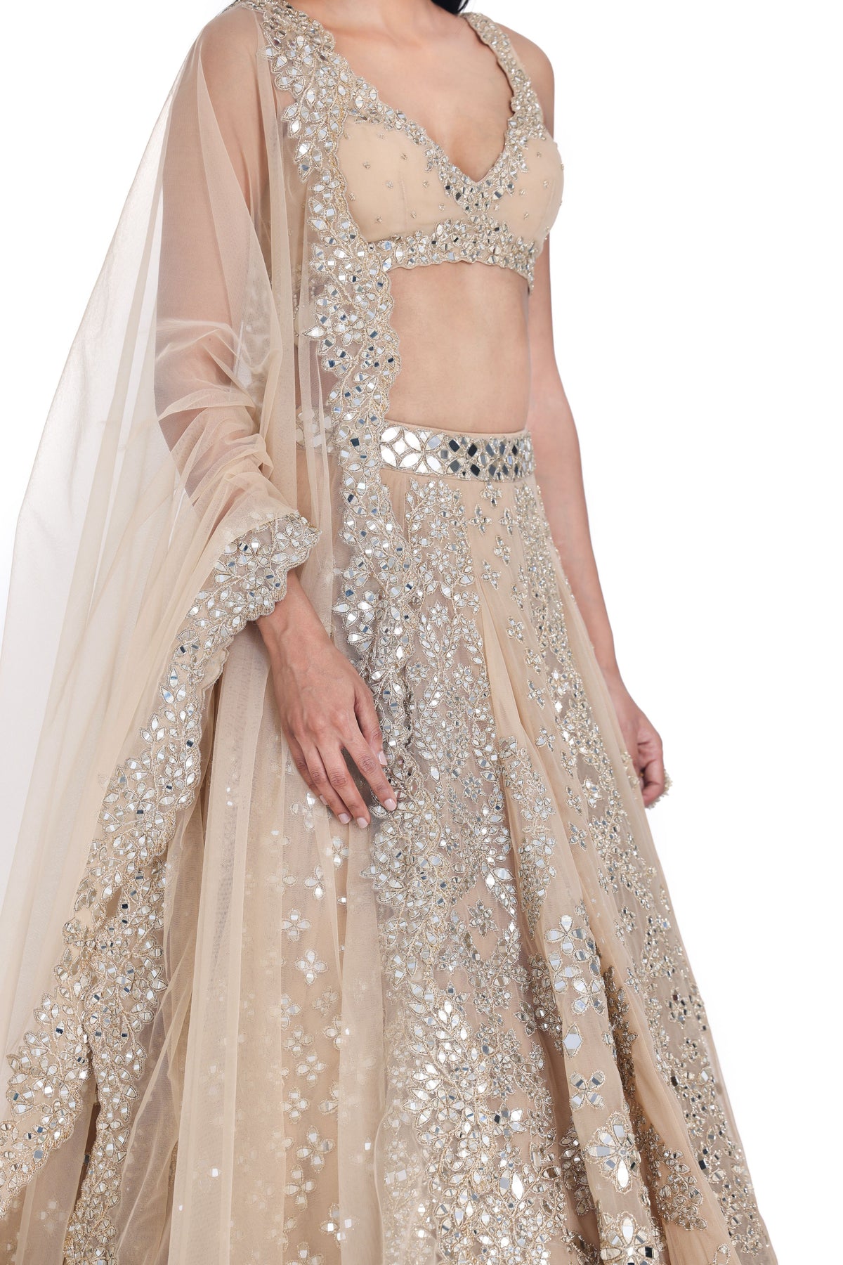Blush Beige Lehenga Set