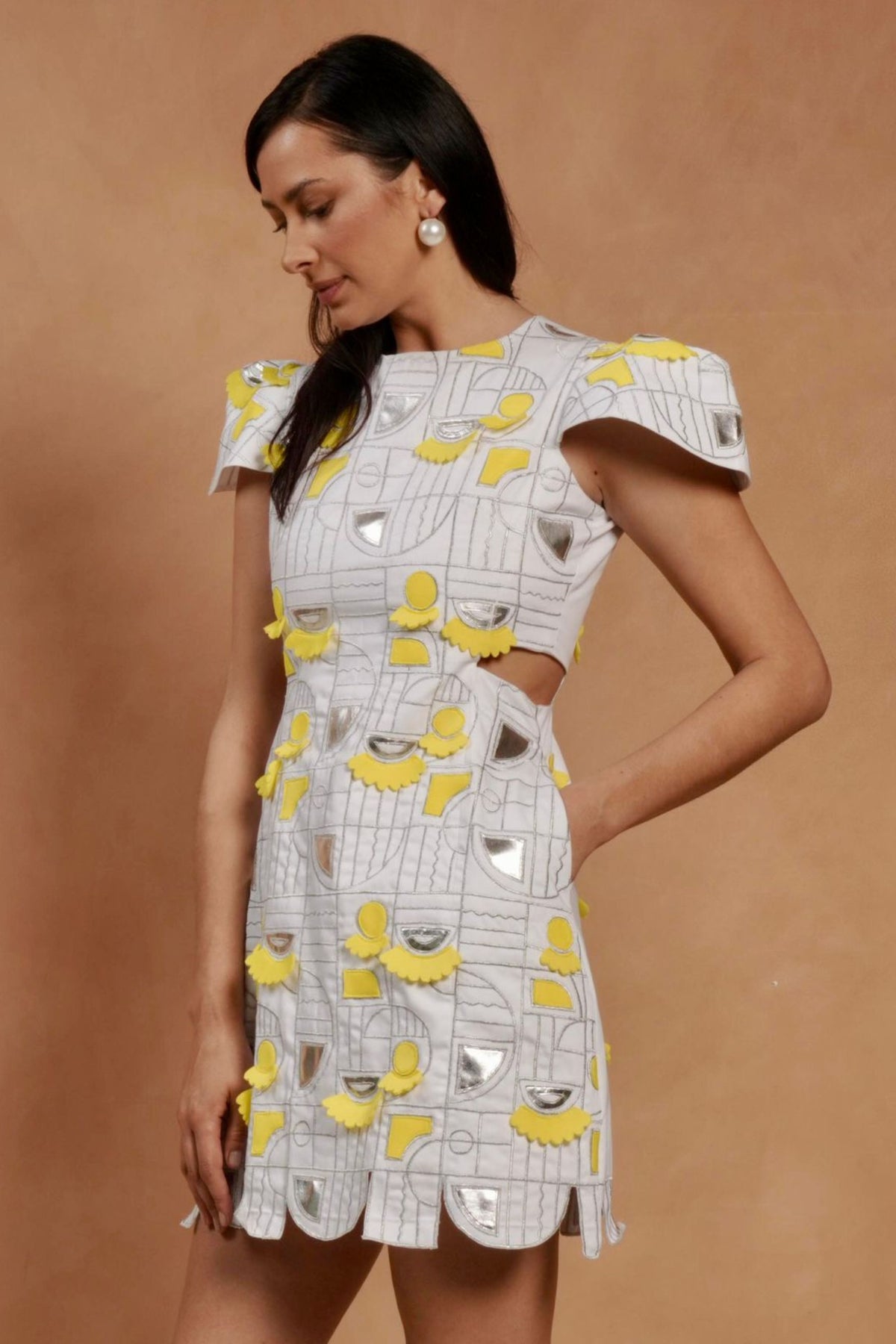 Mettalic Applique Dress