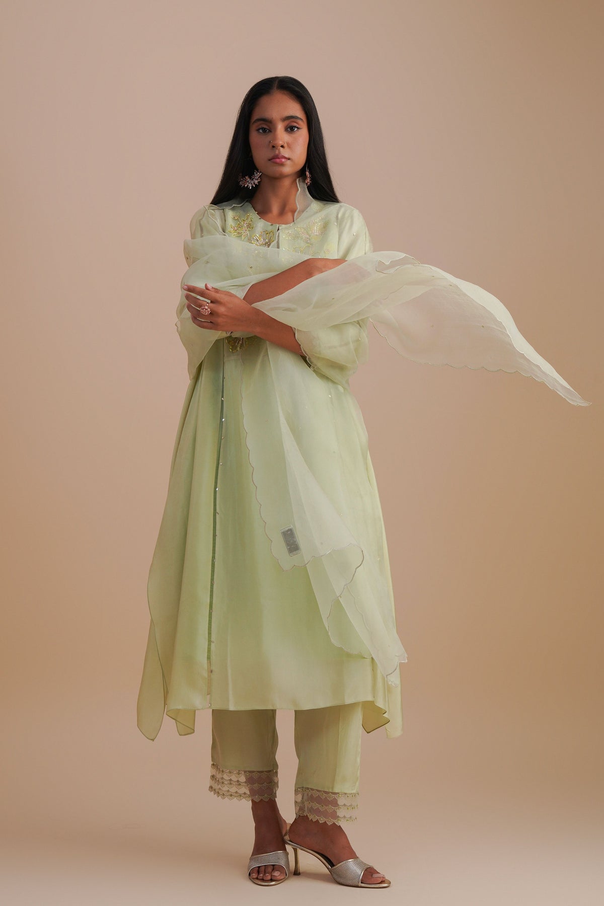 Mist Silk Organza Dupatta