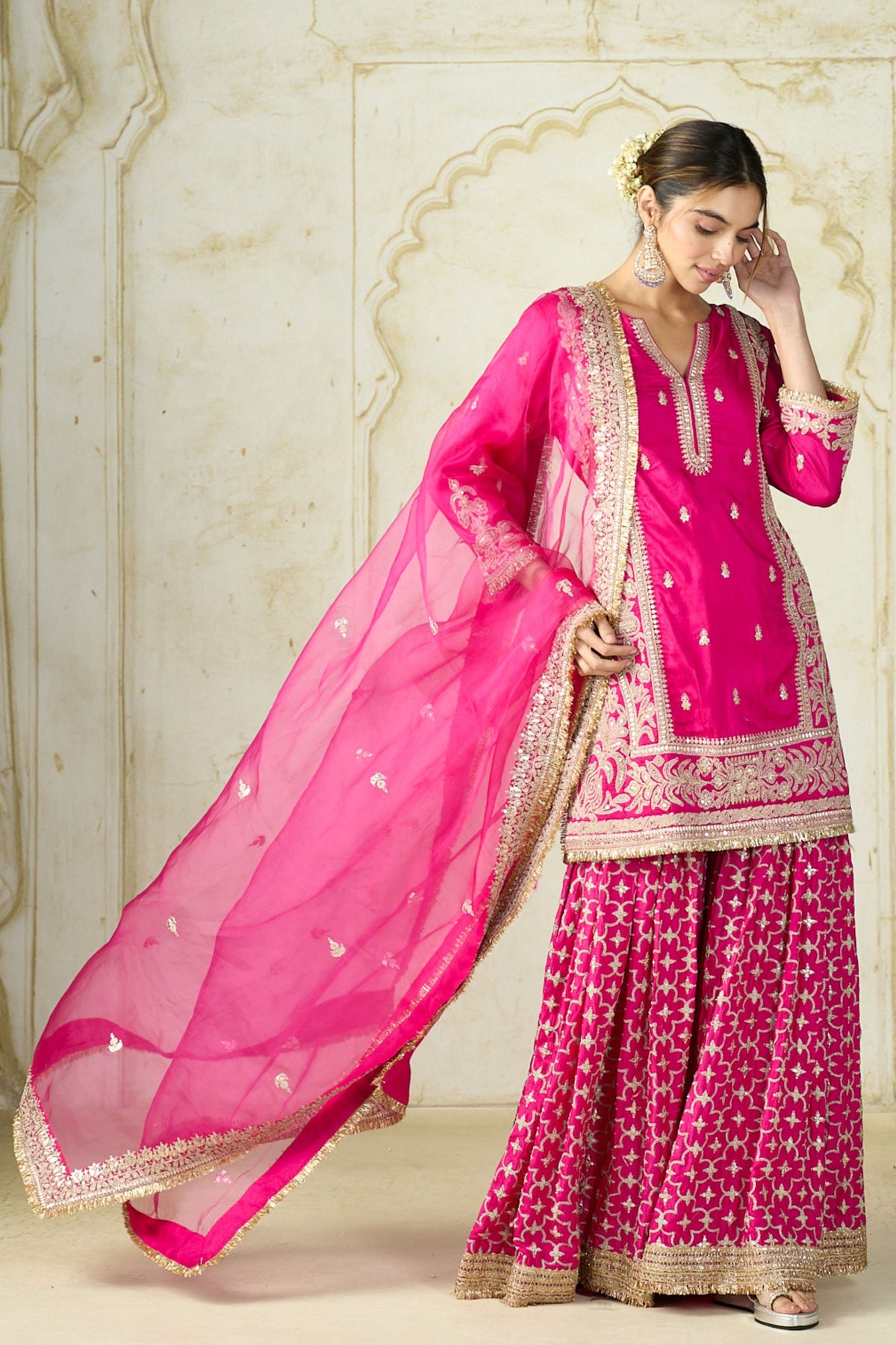 Rani Mumtaz Sharara Set