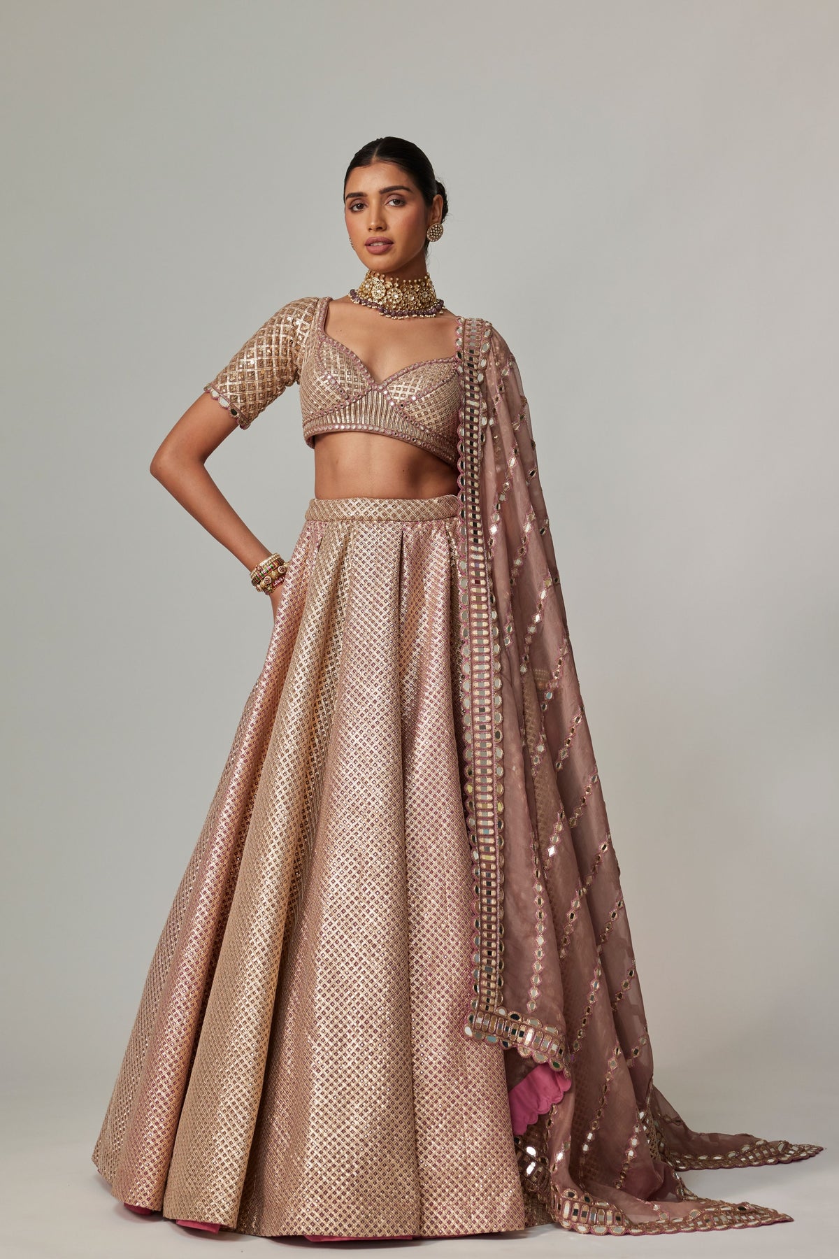 Deep Beige Multicolor Lehenga Set
