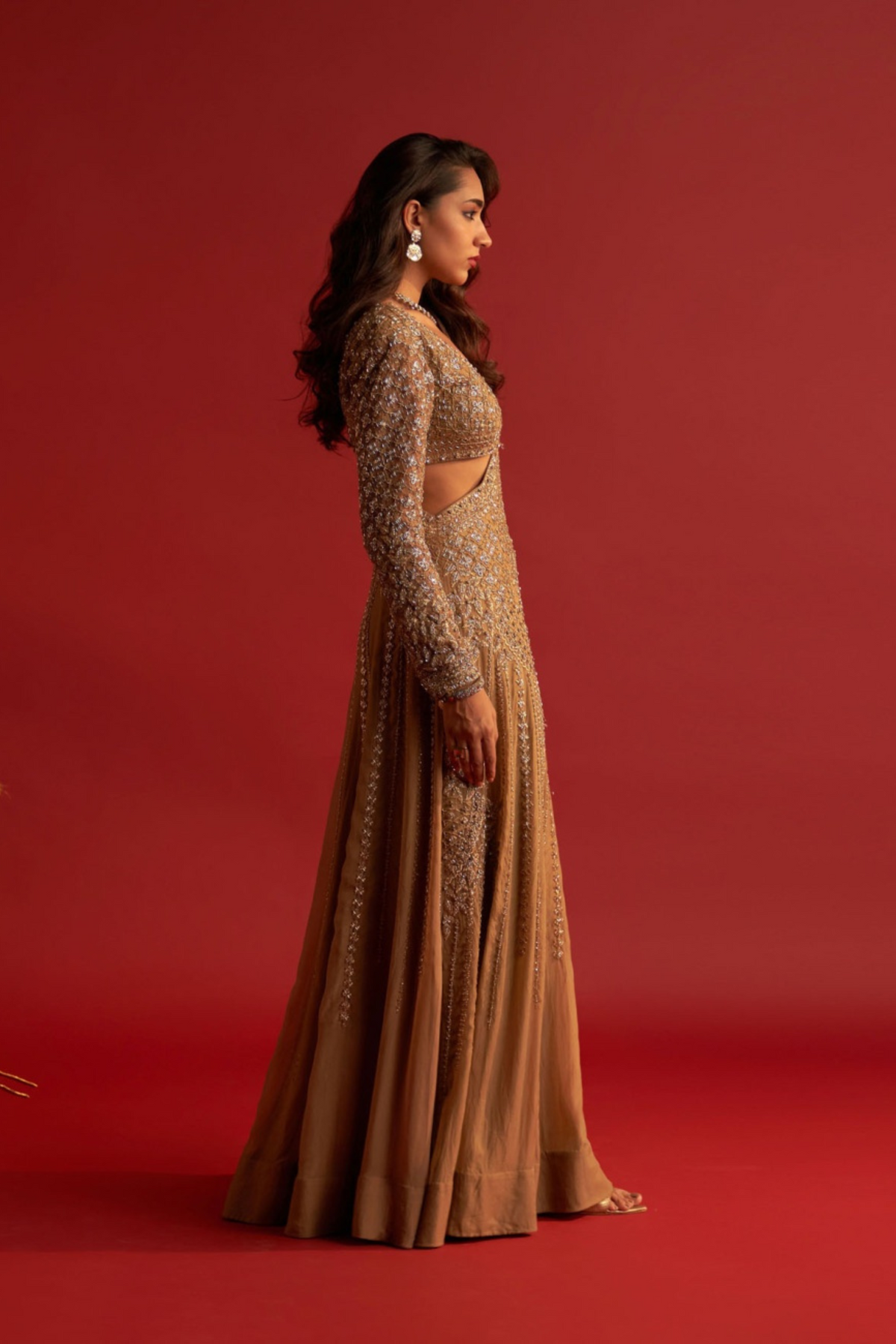 Auric Saree Gown