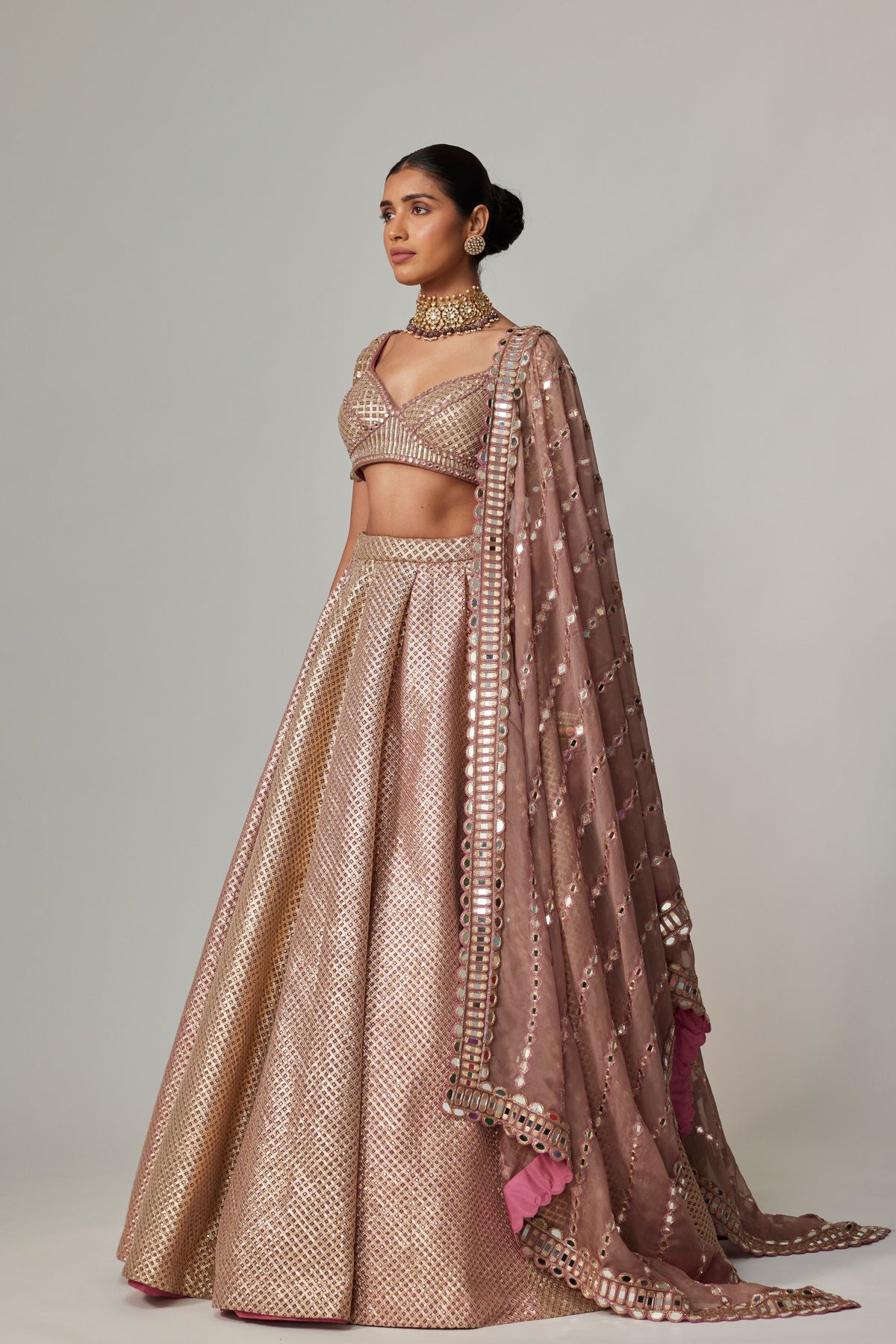 Deep Beige Multicolor Lehenga Set