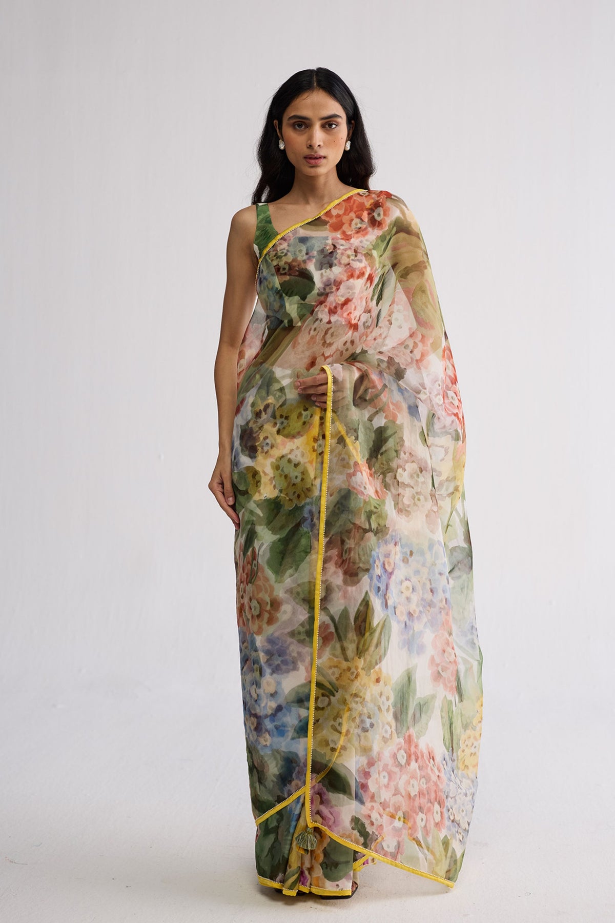 Veranda Organza Saree
