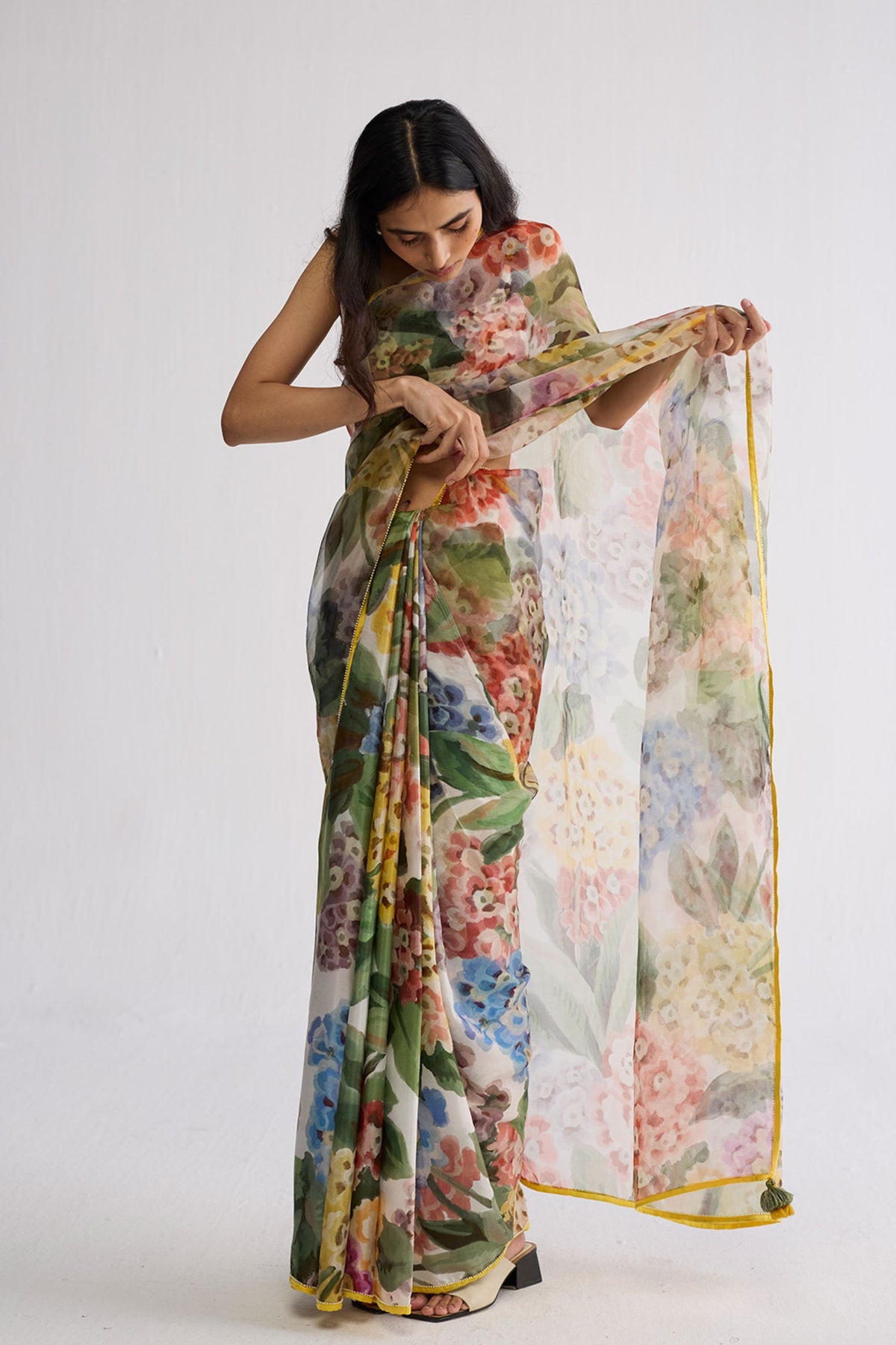 Veranda Organza Saree