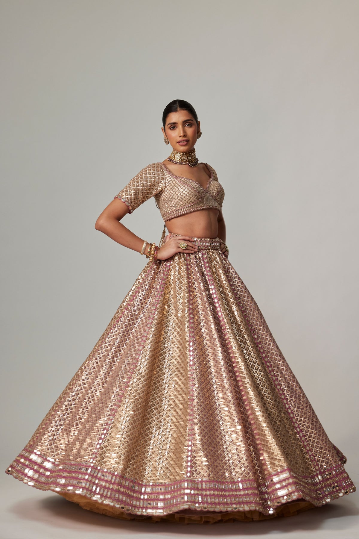 Deep Beige Multicolor Lehenga Set