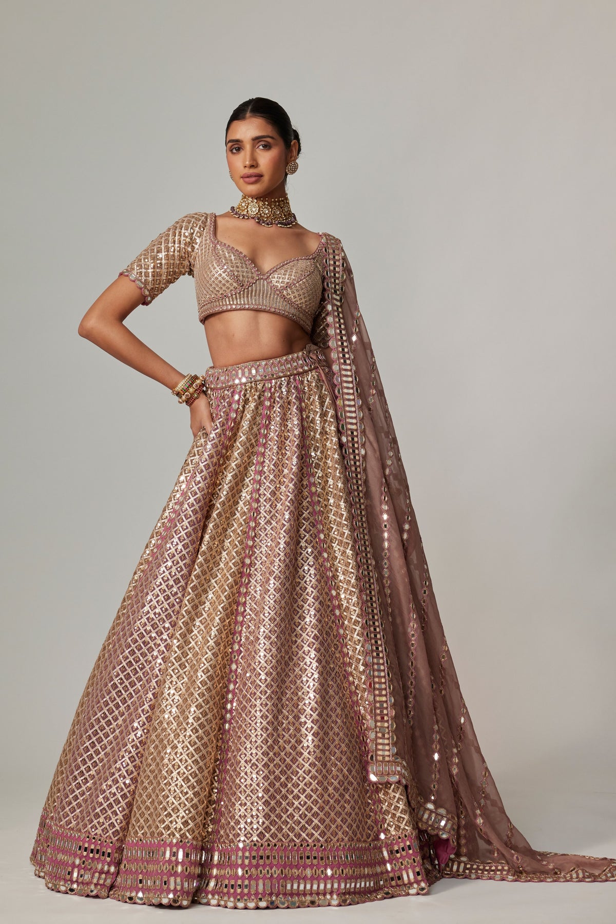 Deep Beige Multicolor Lehenga Set