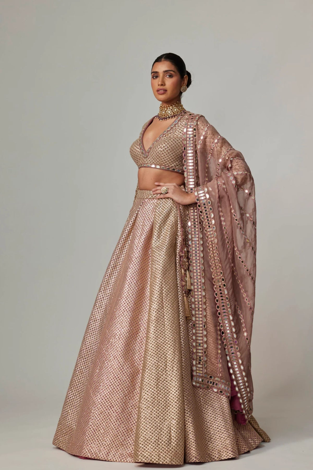 Deep Beige Multicolor Lehenga Set