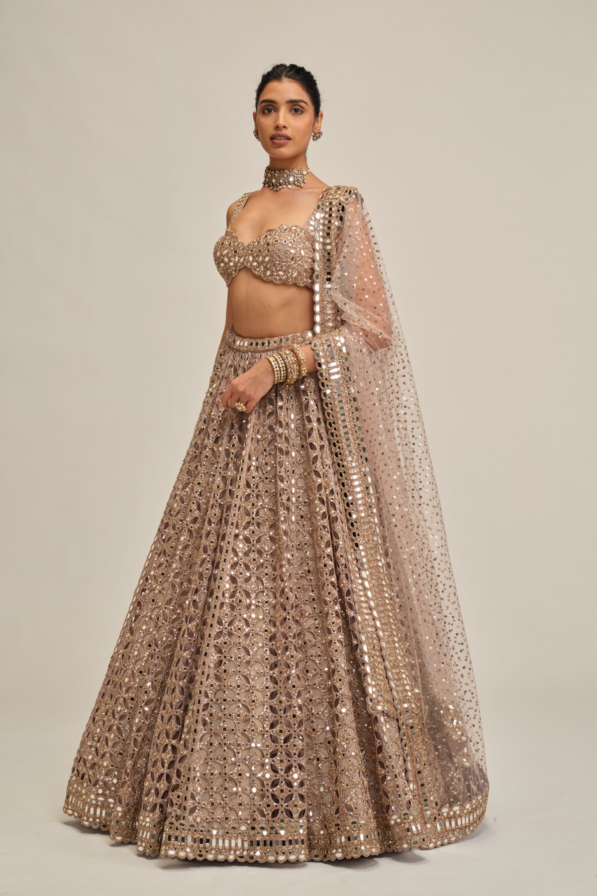 Ash Pink Circular Lehenga Set