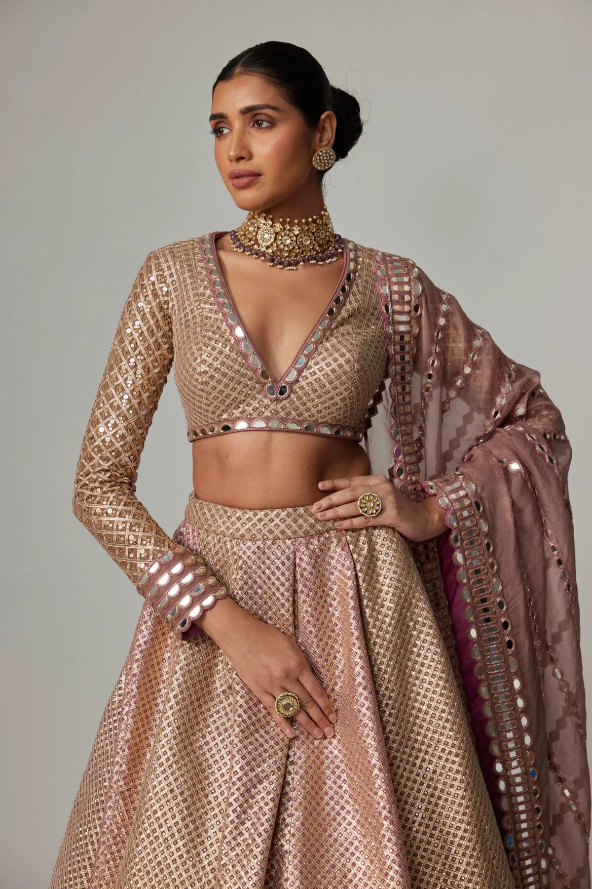 Deep Beige Multicolor Lehenga Set