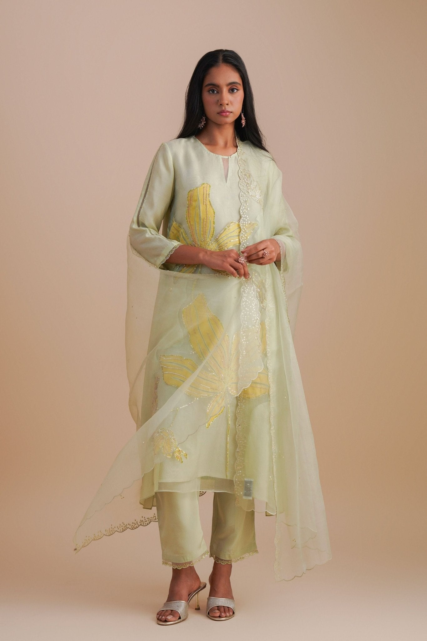 Organza Mist Kurta Set - One Not Two - Elahe