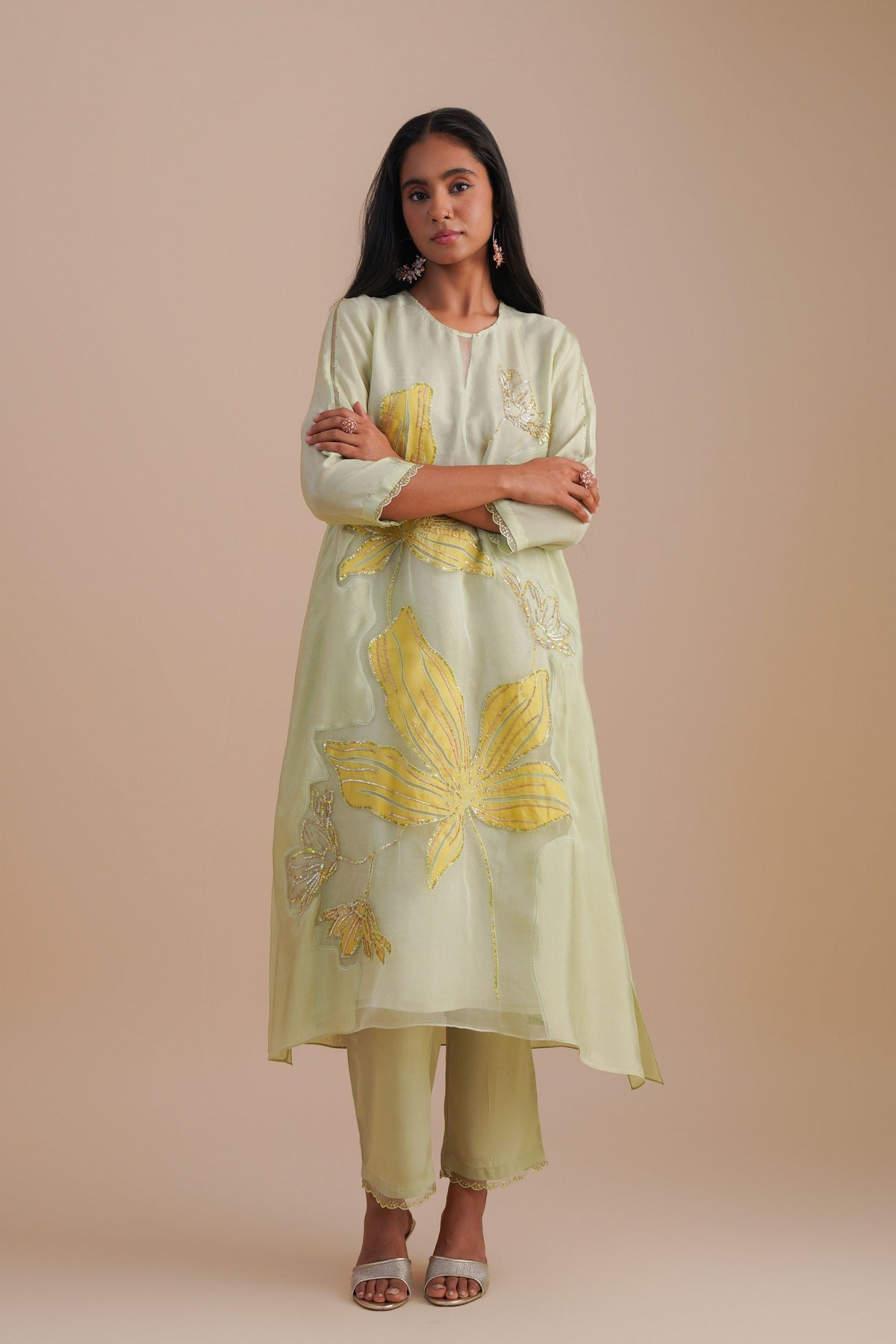 Organza Mist Kurta Set