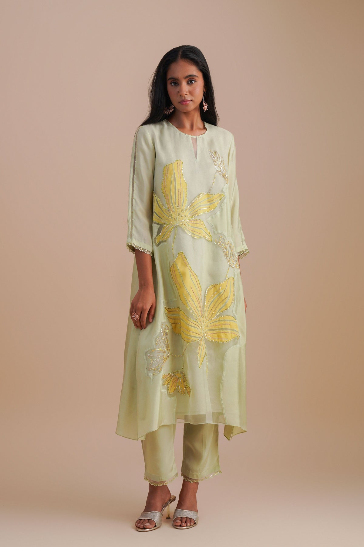 Organza Mist Kurta Set