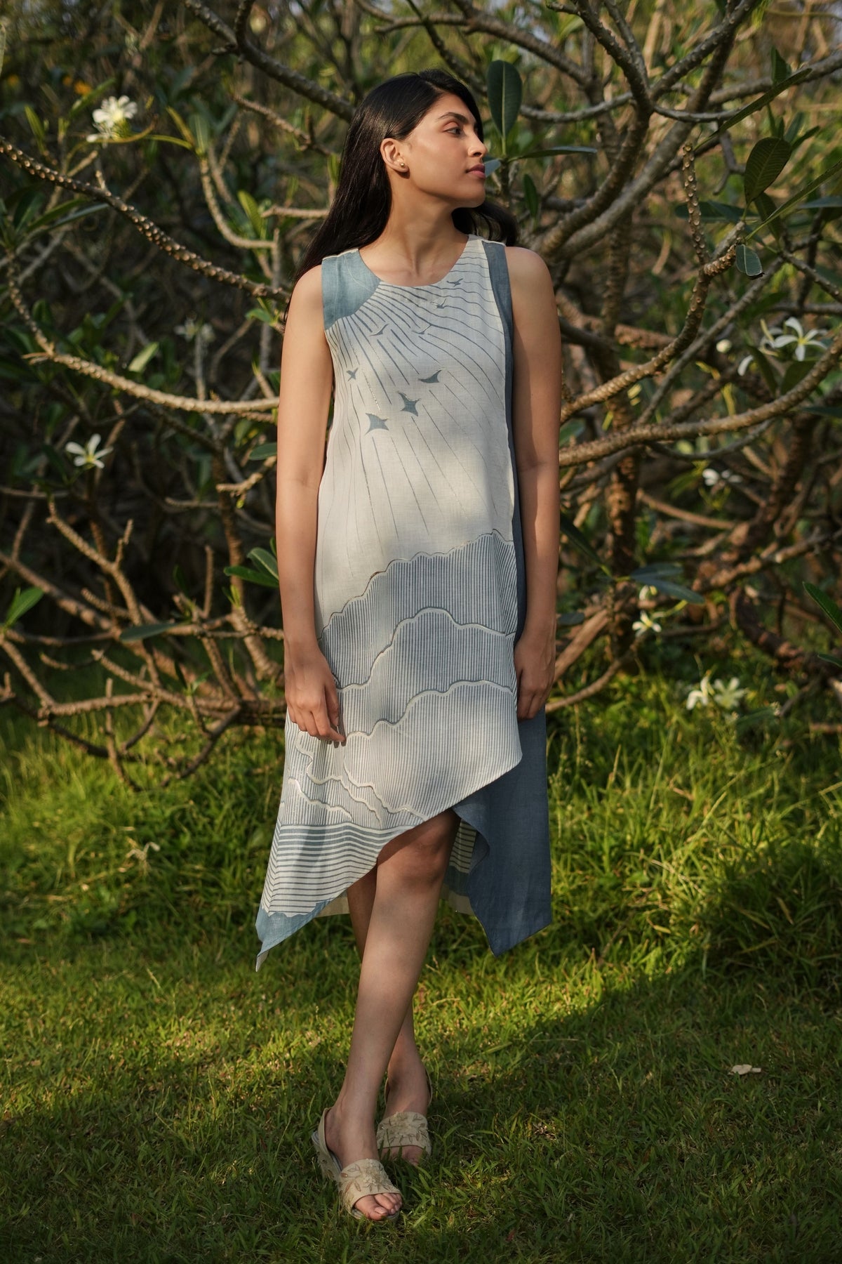 Silver Blueberry Dress