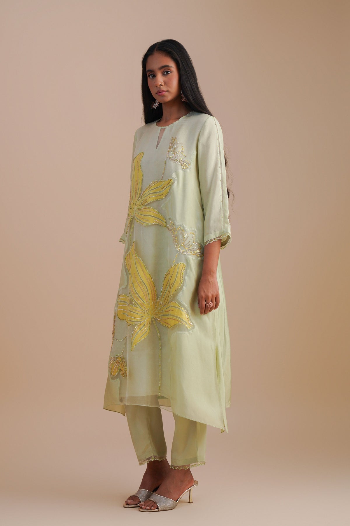 Organza Mist Kurta Set