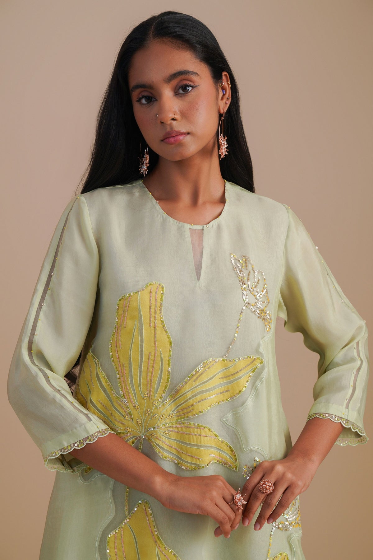 Organza Mist Kurta Set