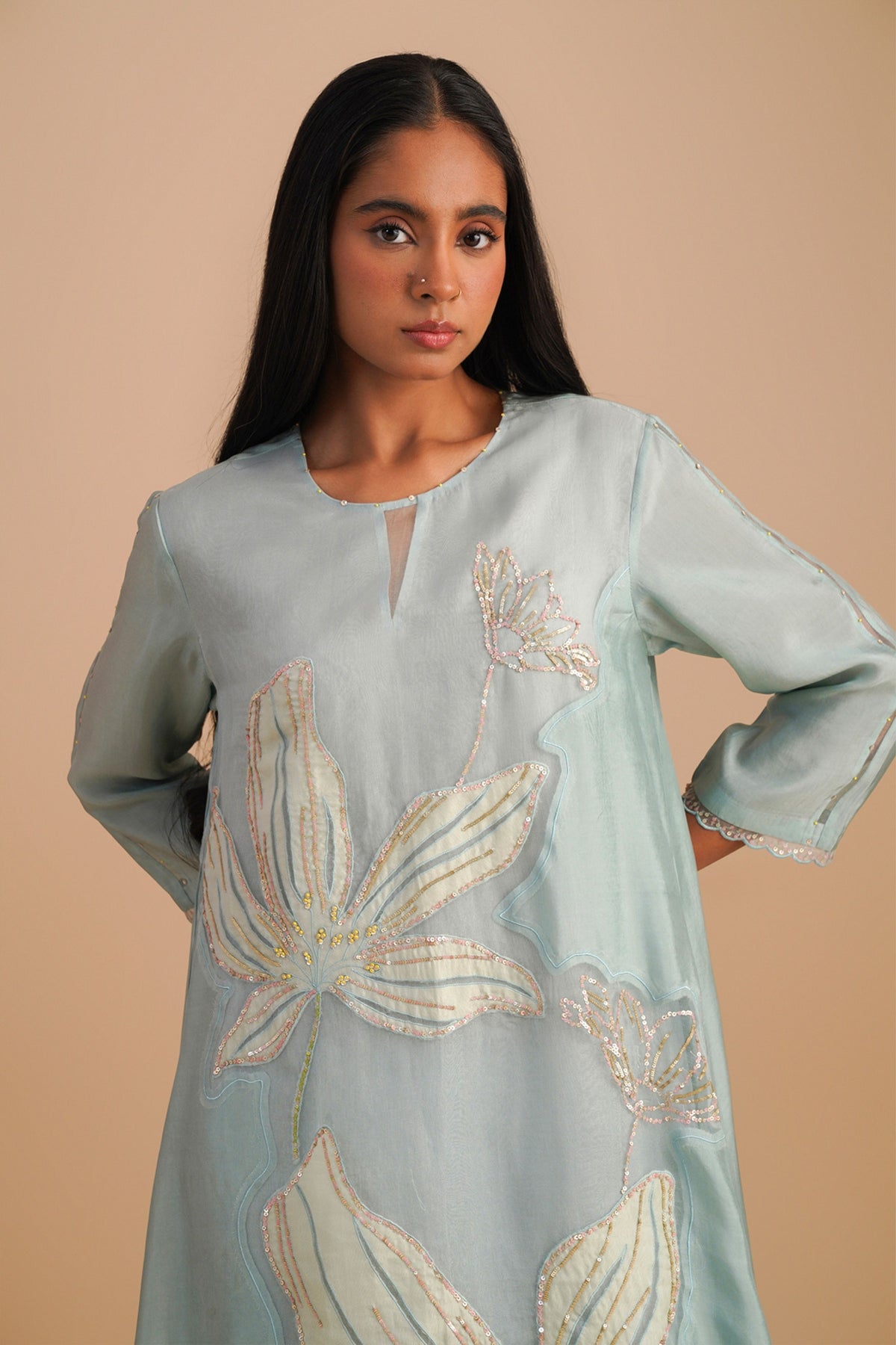 Organza Powder Blue Kurta Set