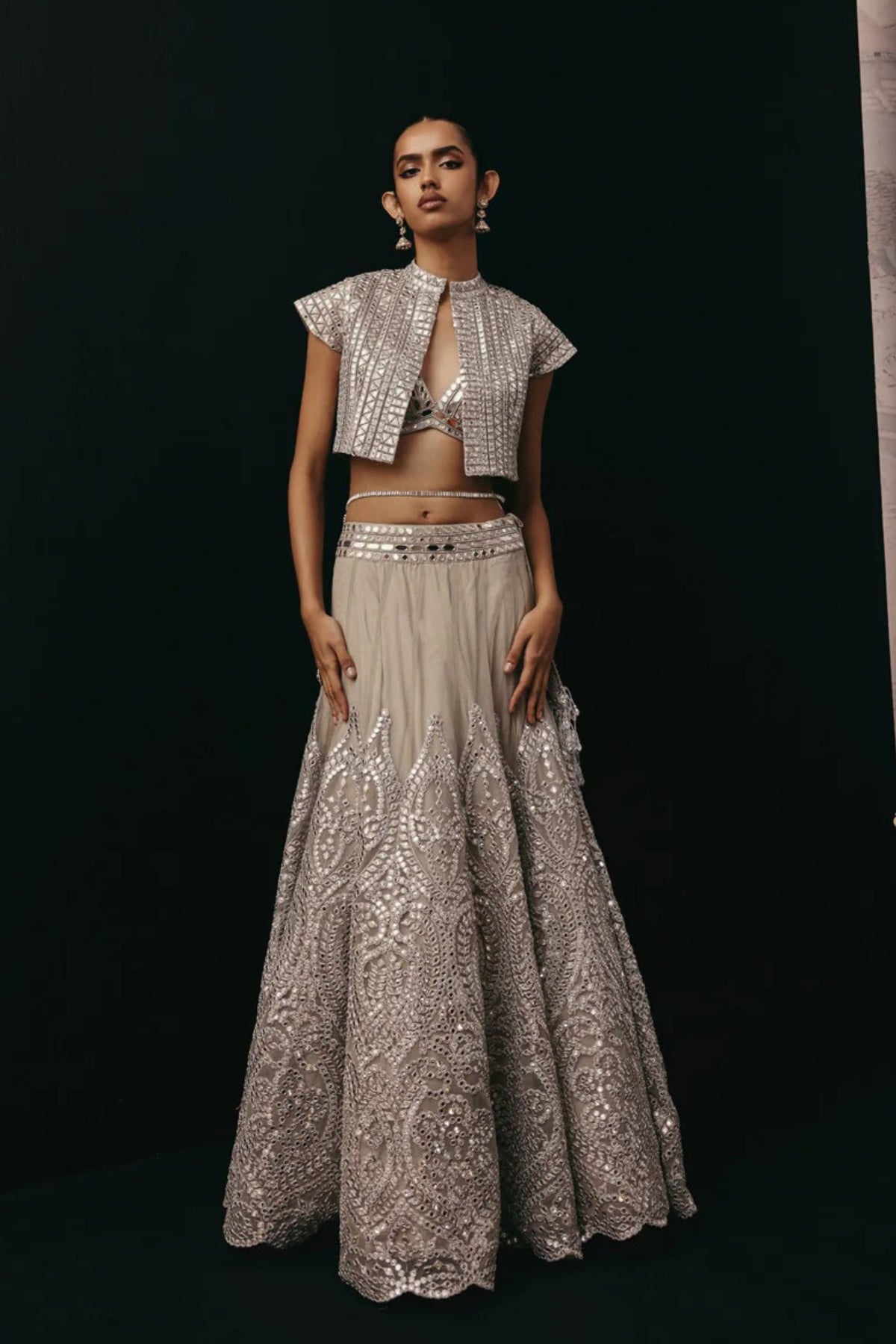 Silver Zari Lehenga Set
