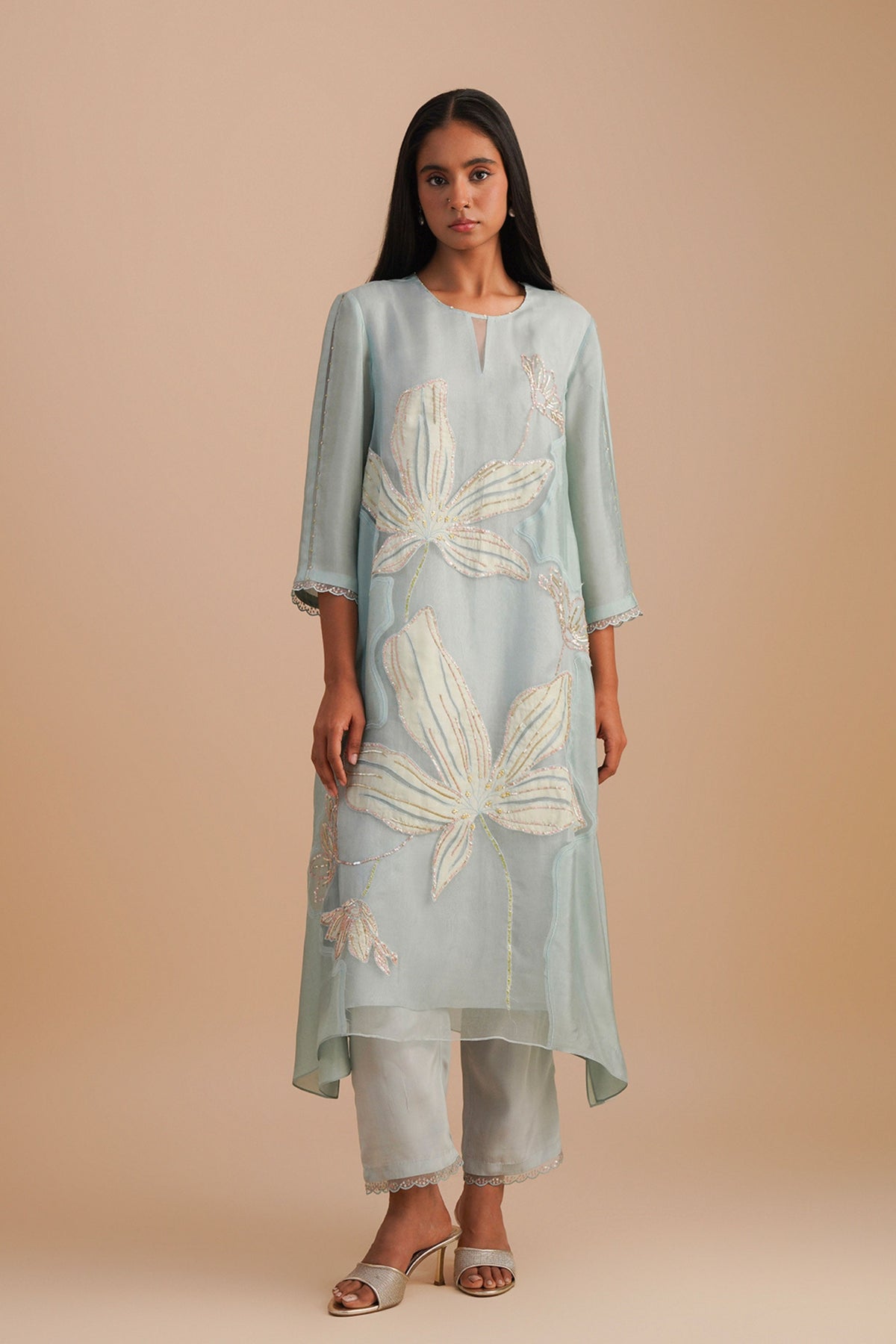 Organza Powder Blue Kurta Set