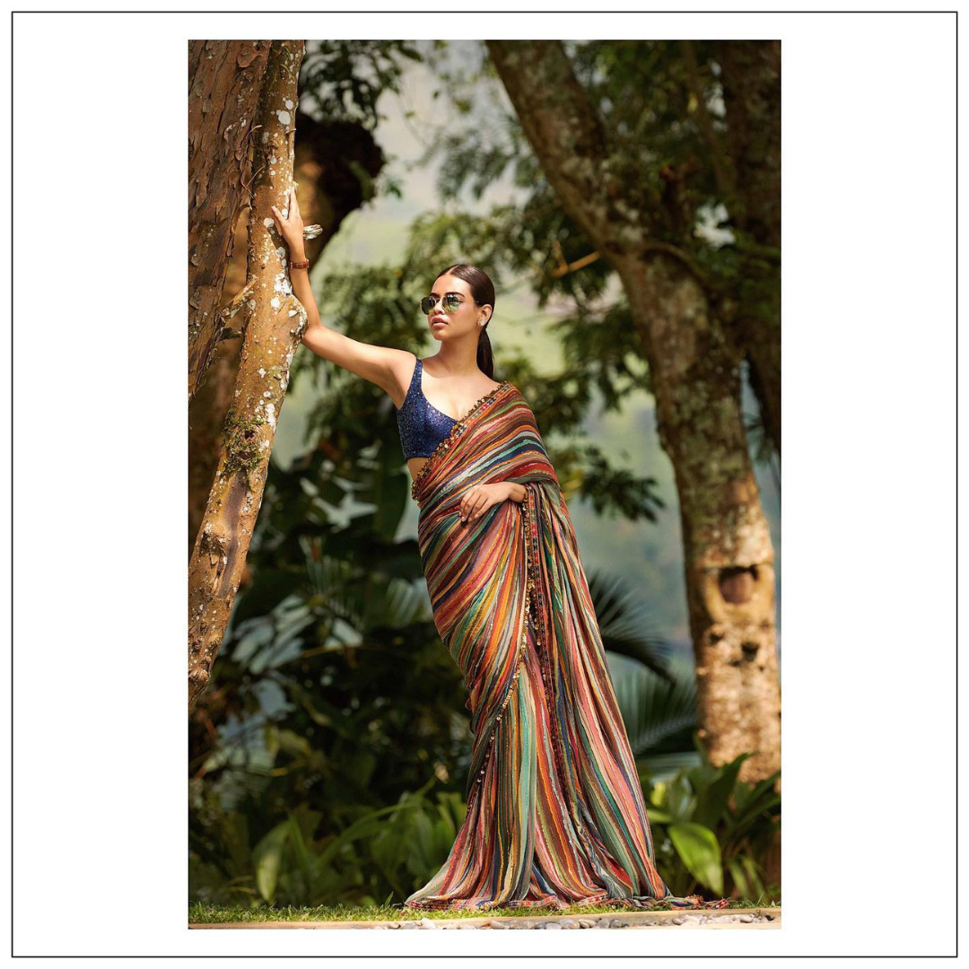 The Handpainted Striper Cocktail Saree