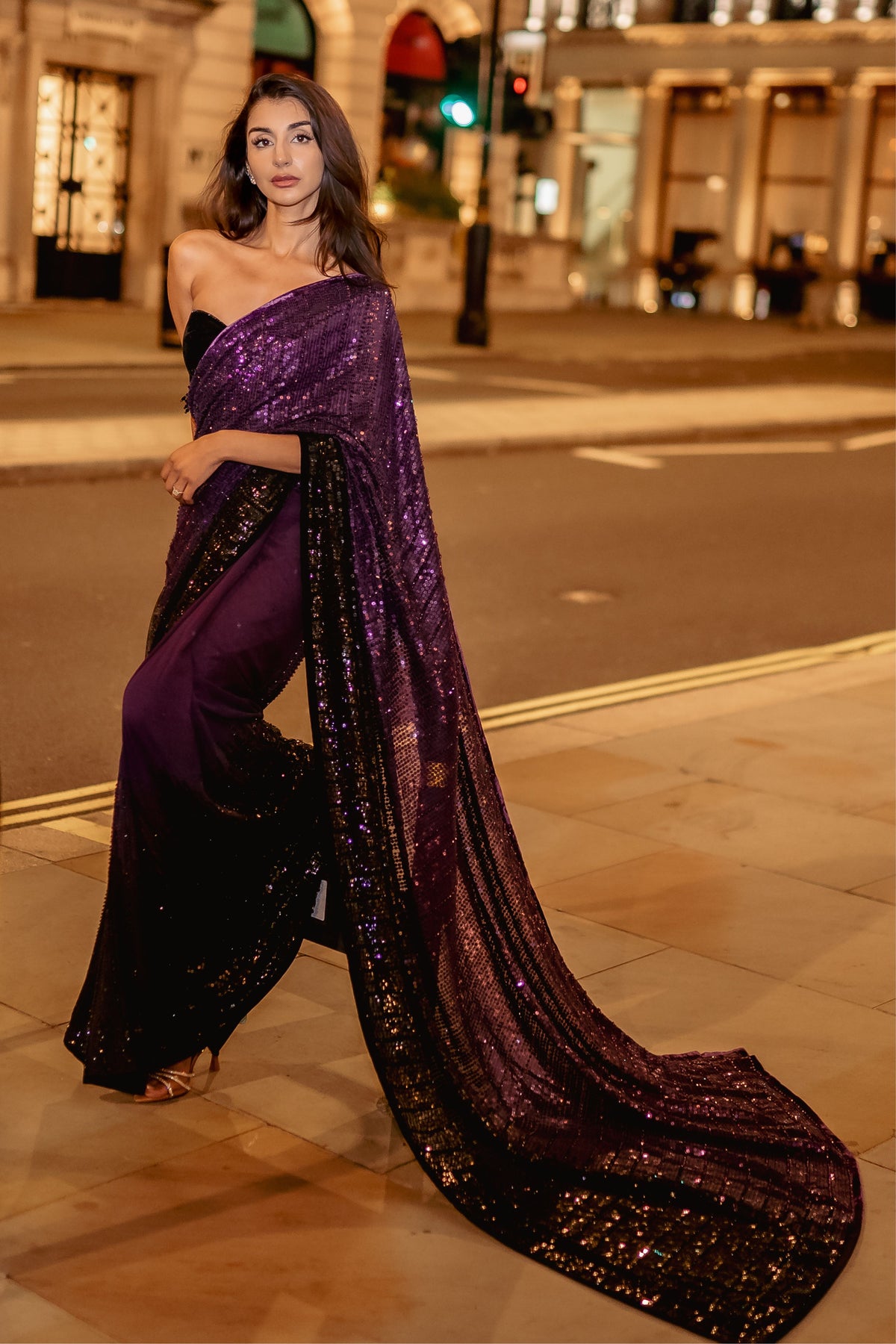 Royal Ombré Saree