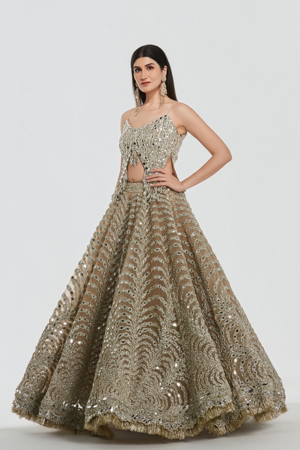 Roshni Lehenga Set
