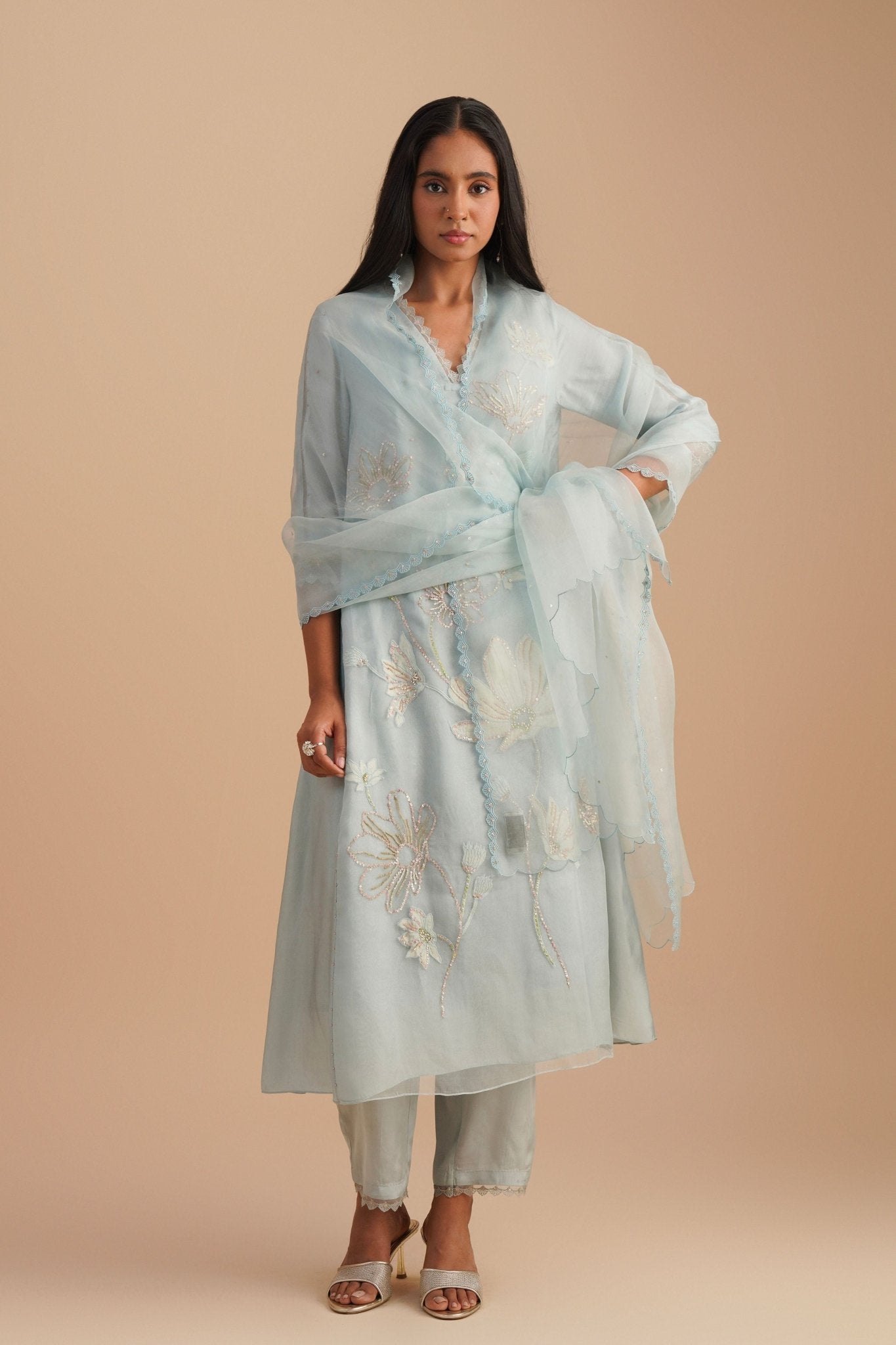 Powder Blue Silk Organza Dupatta - One Not Two - Elahe