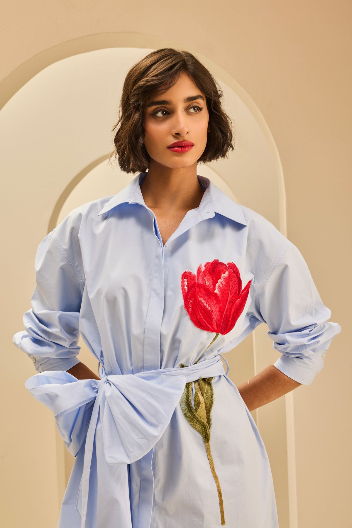 Tea Length Shirt Dress