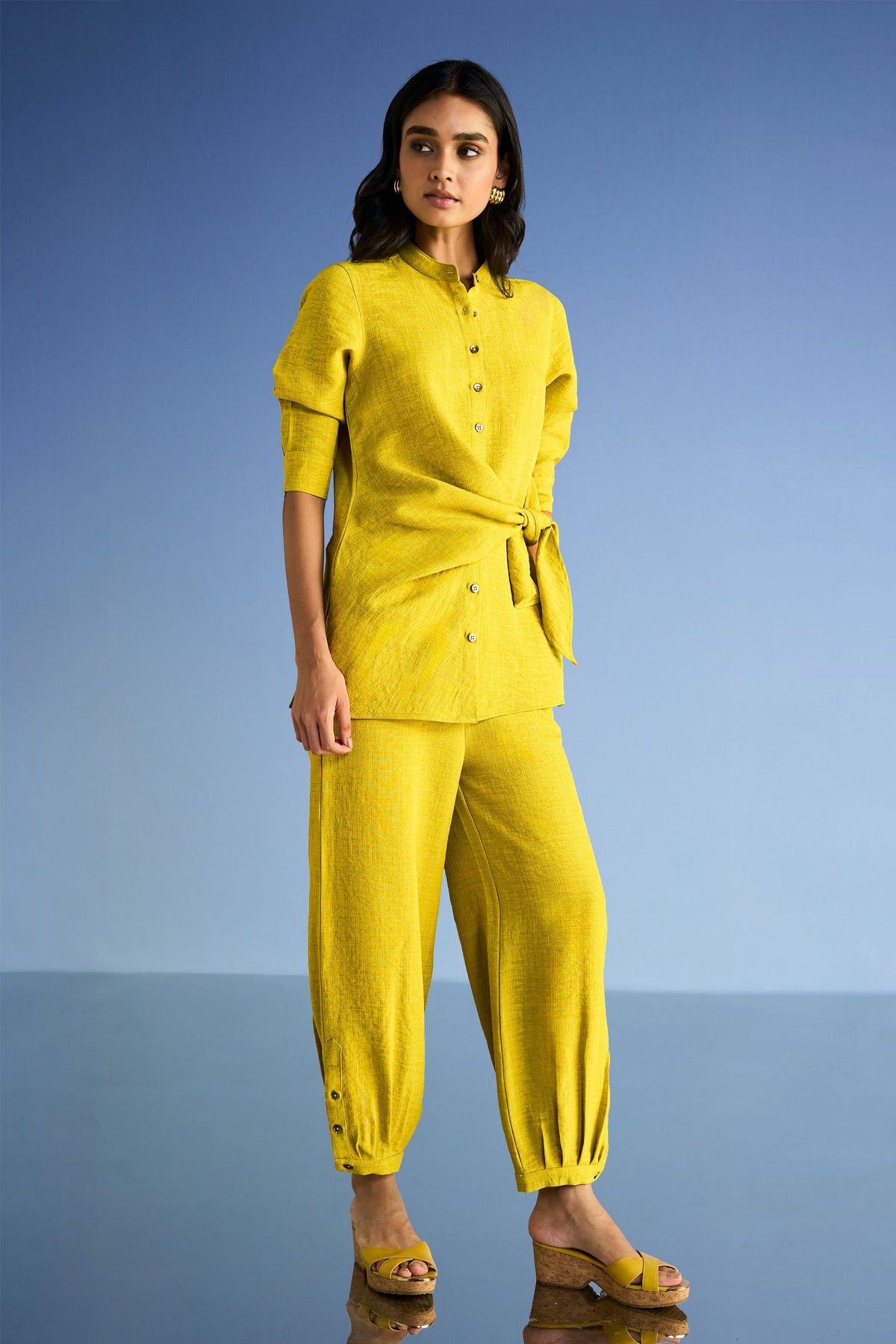 Pleated Pants